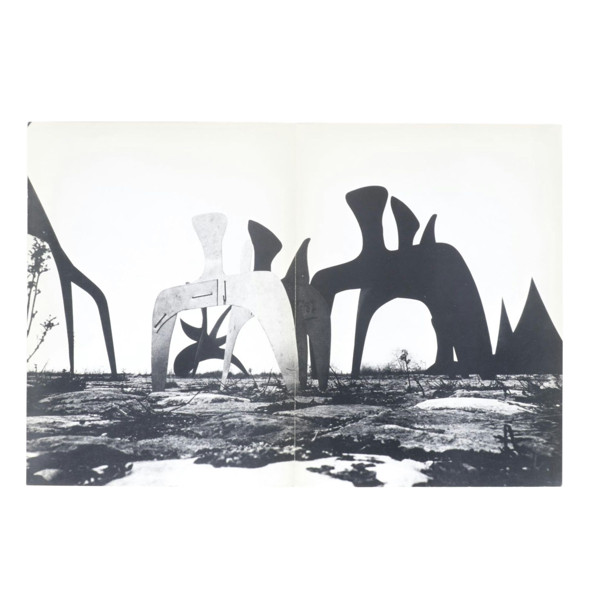 Photo of Calder Sculpture Field from Derrière le Miroir Offset Lithograph, 1966