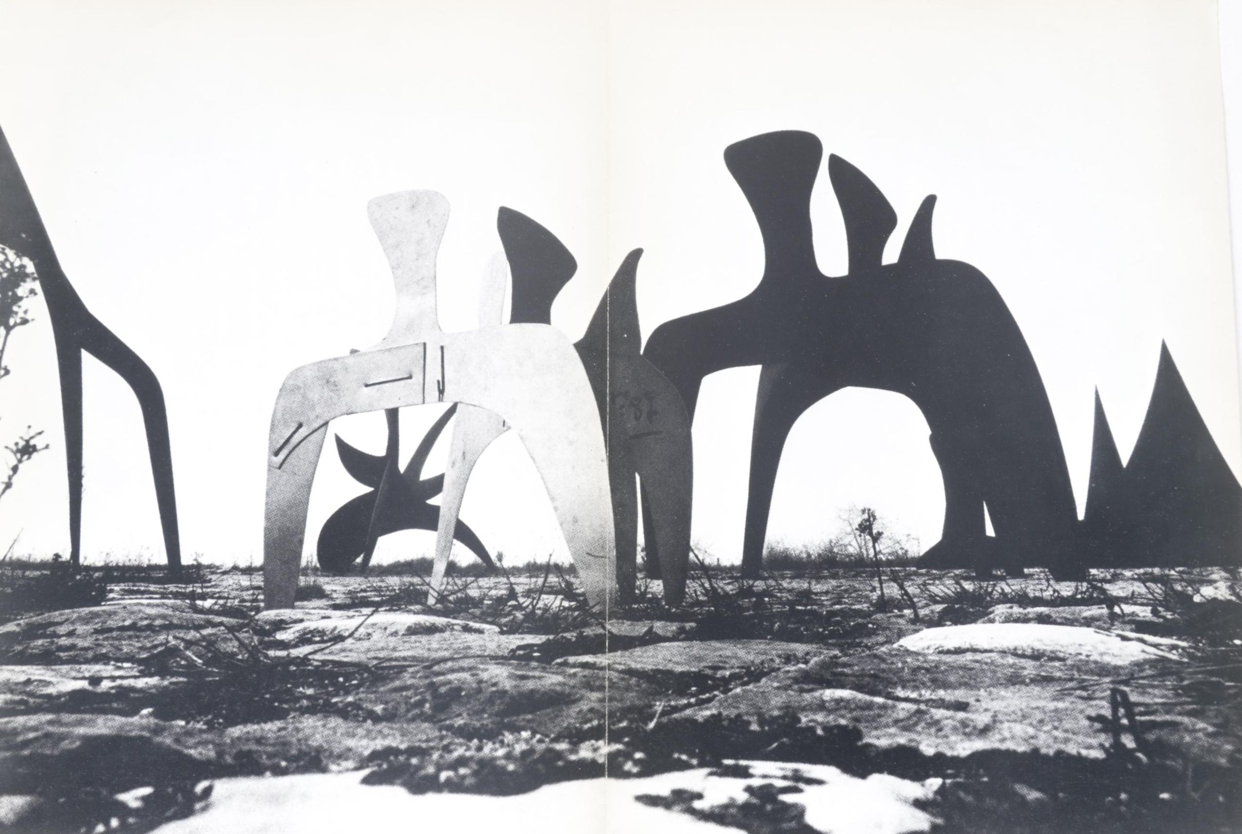 Photo of Calder Sculpture Field from Derrière le Miroir Offset Lithograph, 1966