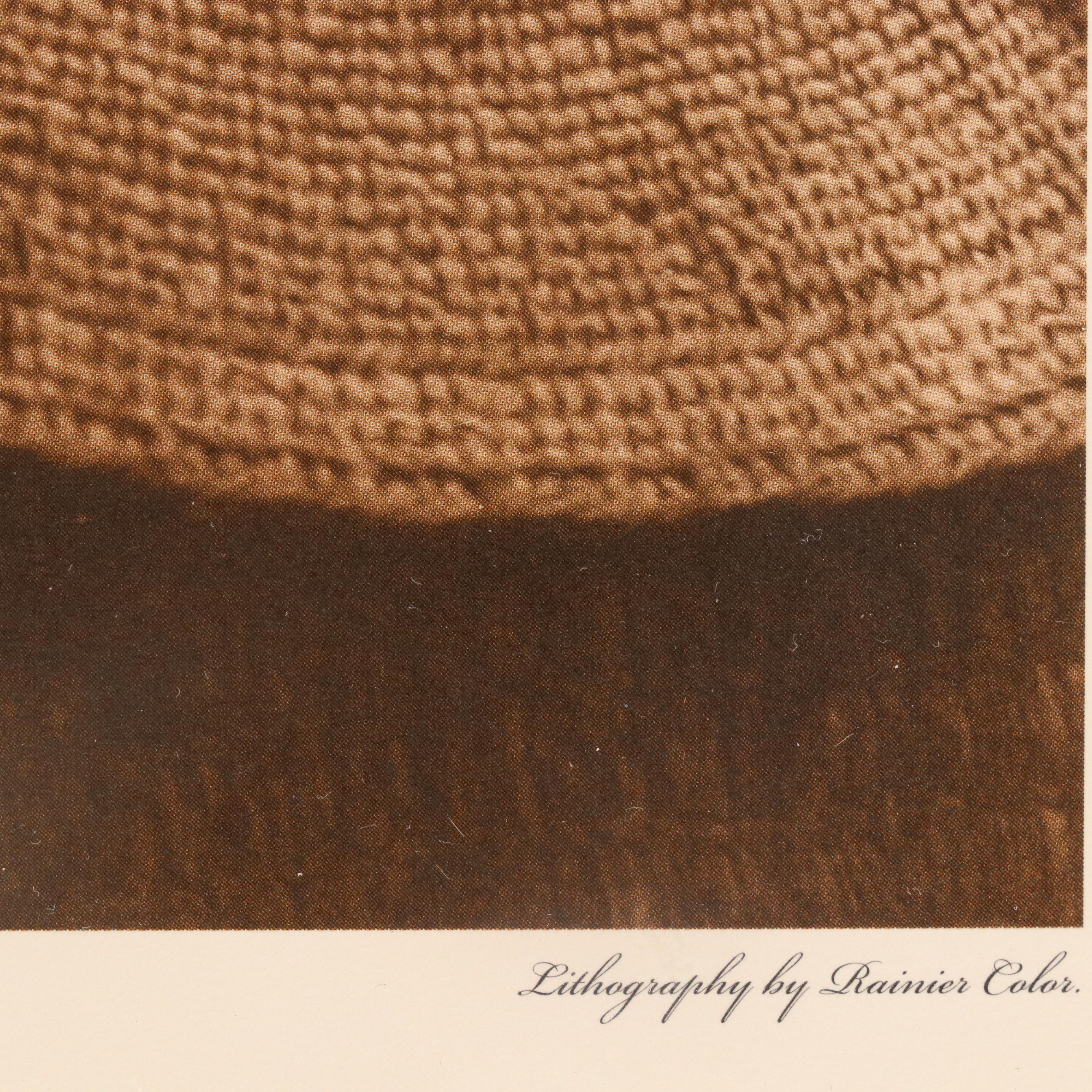 Offset Lithograph After Edward S. Curtis "Painting a Hat - Nakoaktok," 2004