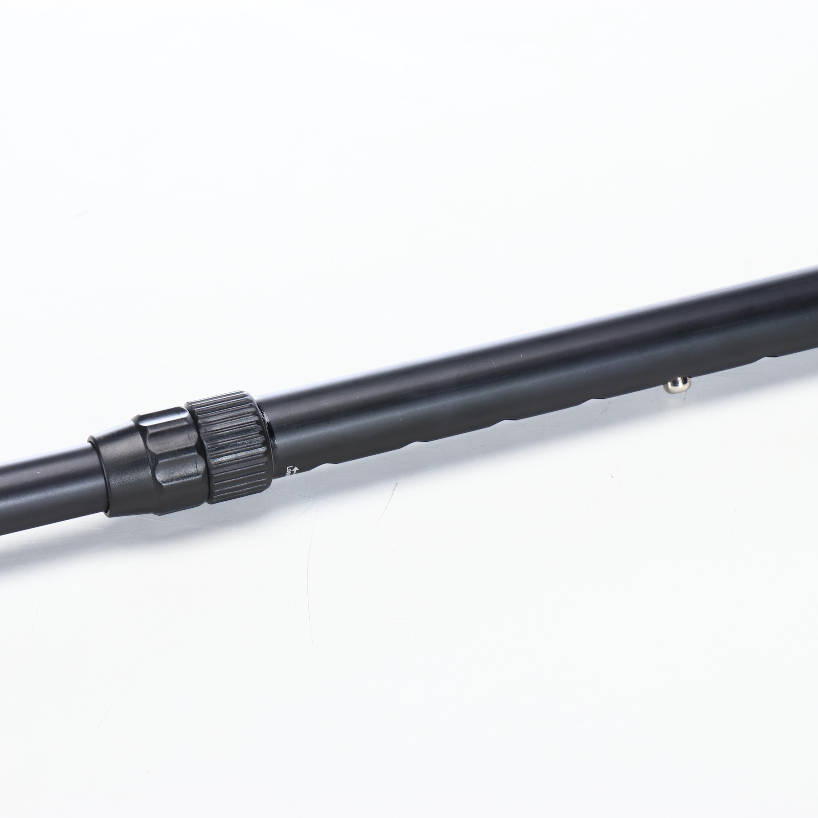 Embossed Eagle Head Adjustable Sword Cane