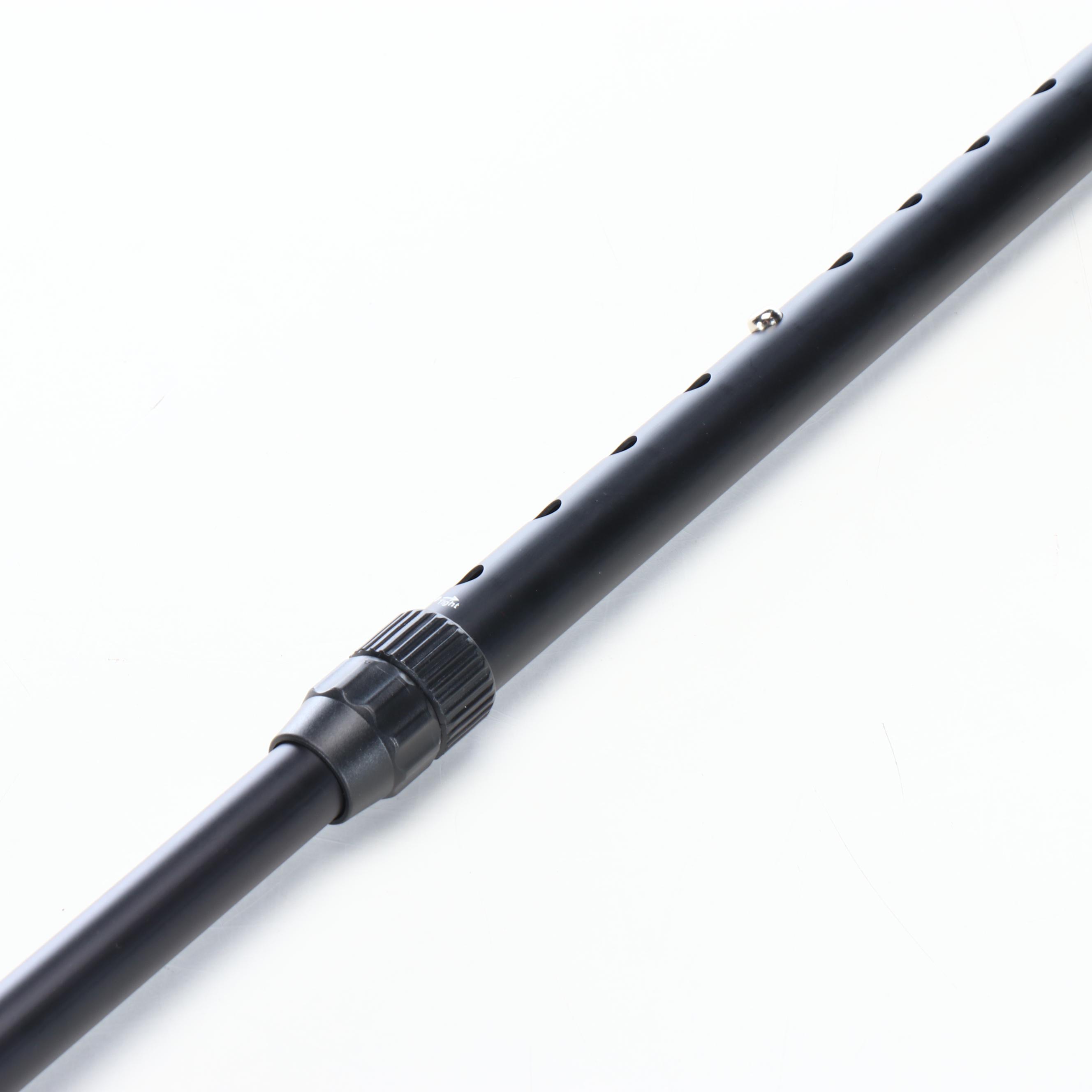 Embossed Eagle Head Adjustable Sword Cane