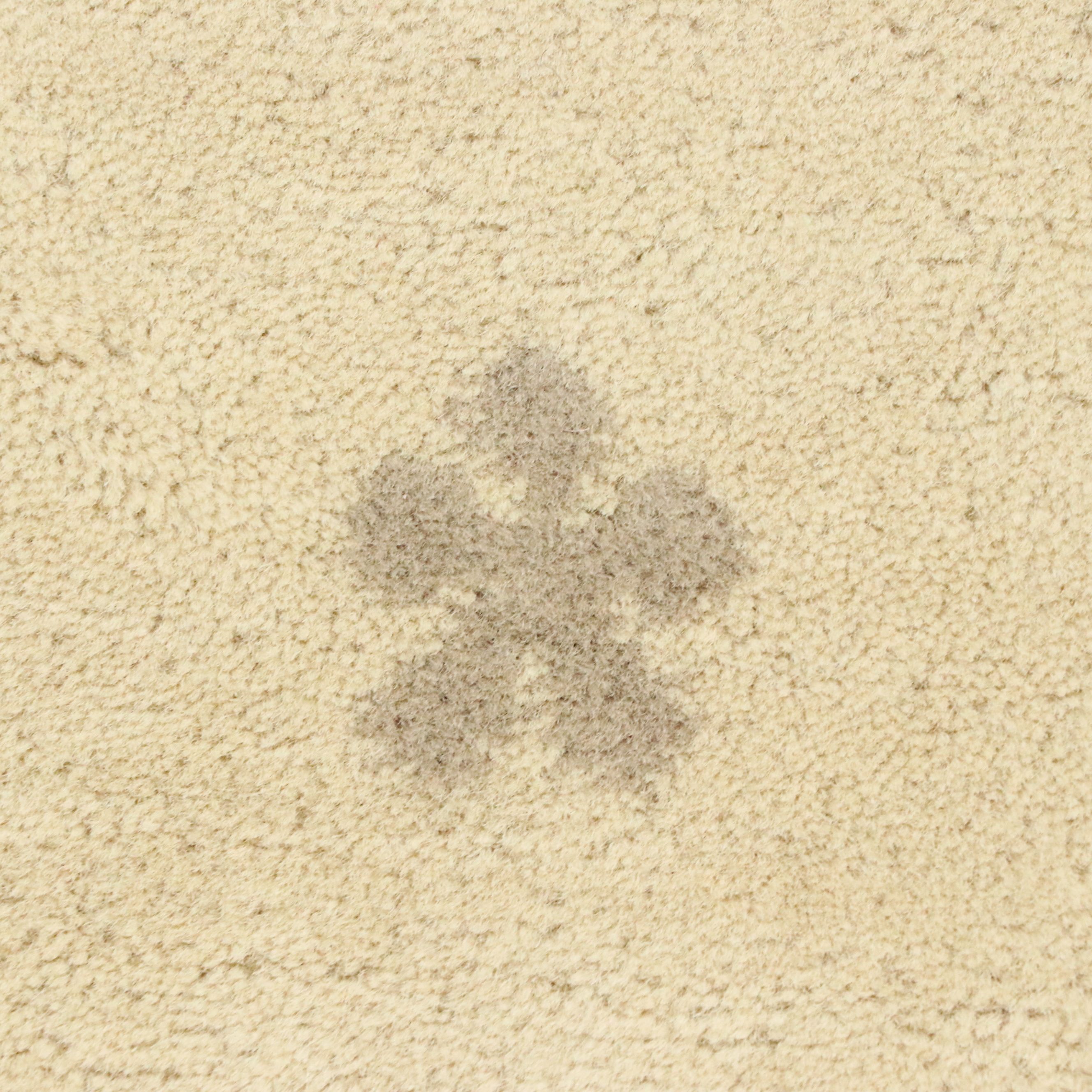 9'6 x 14'3 Hand-Knotted Sino-French Aubusson Room-Sized Rug