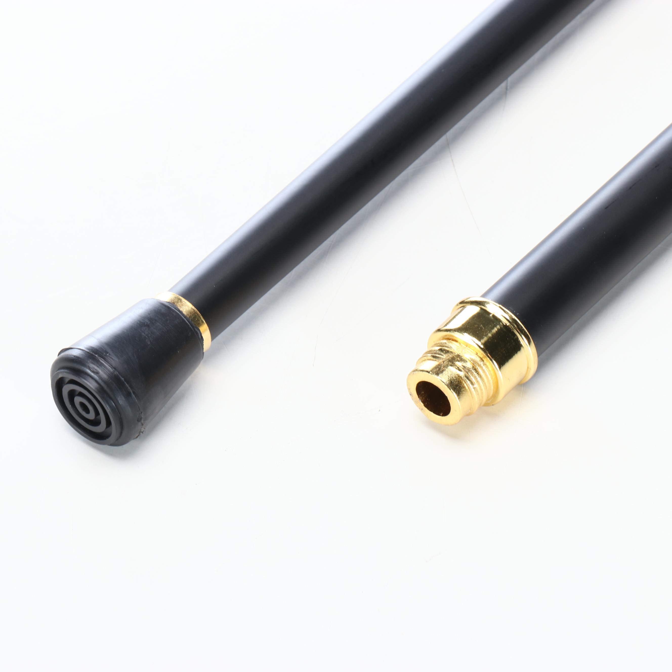 Lion Headed Handled Cane