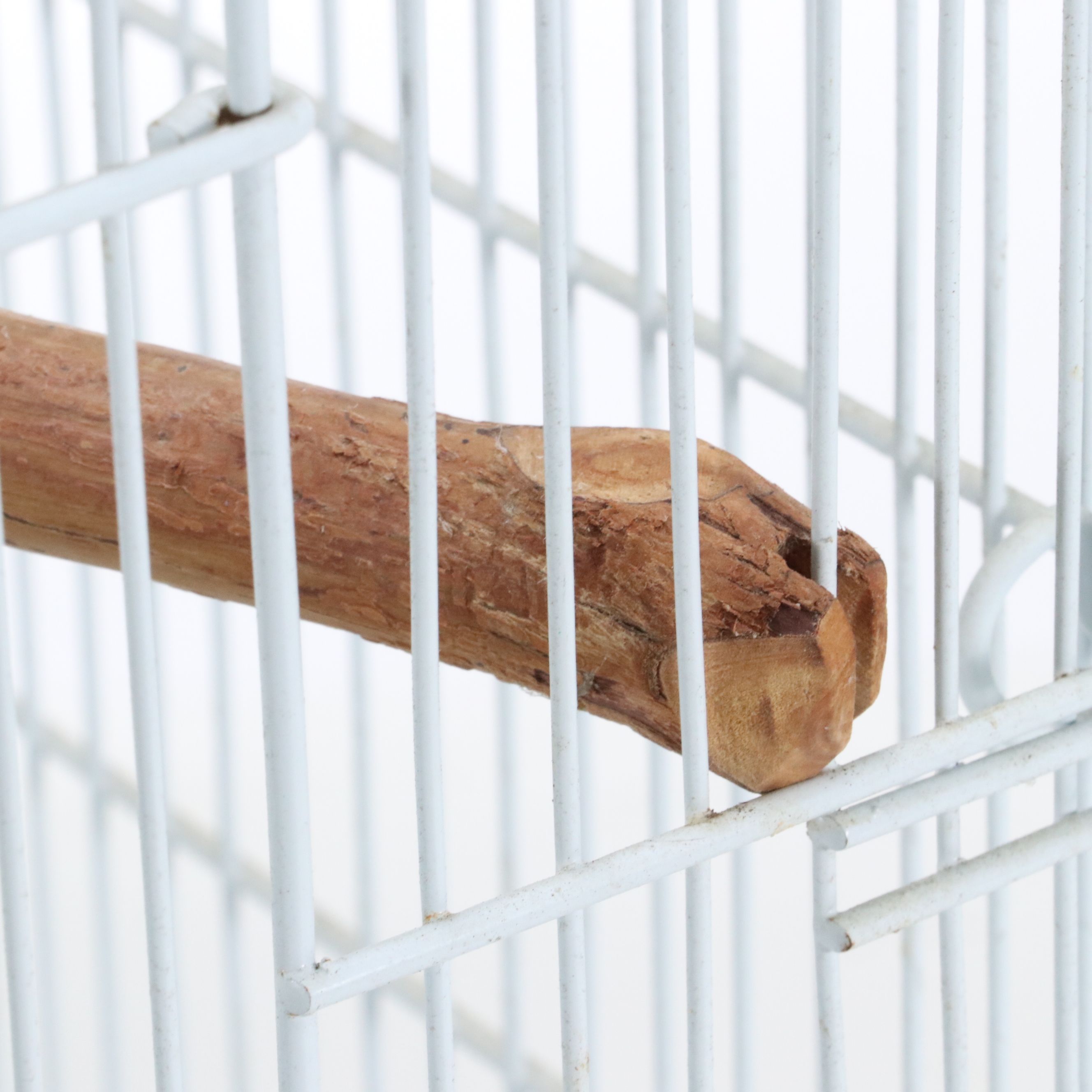 White Metal Wire Bird Cage with Perch Branch and Food Bowls