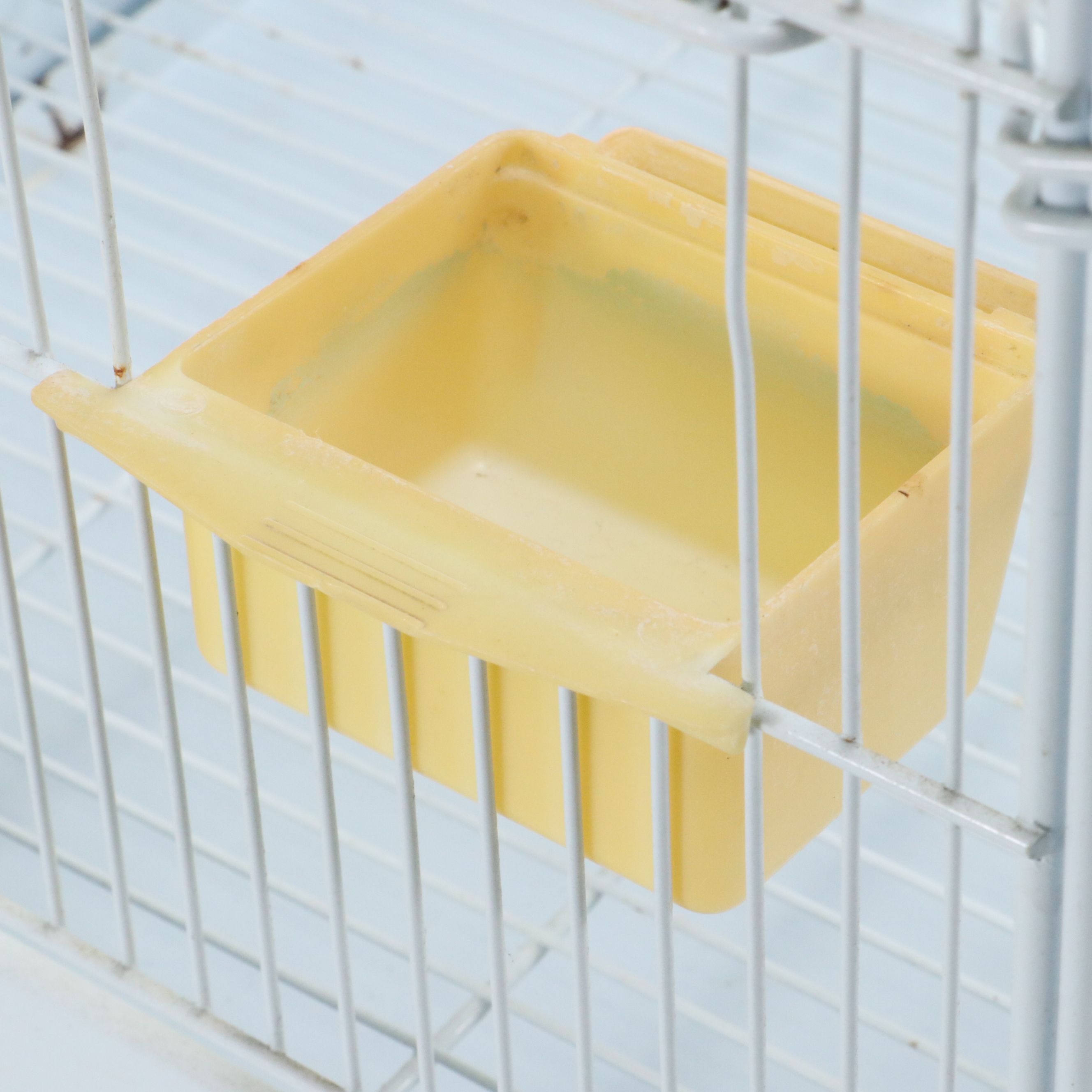 White Metal Wire Bird Cage with Perch Branch and Food Bowls