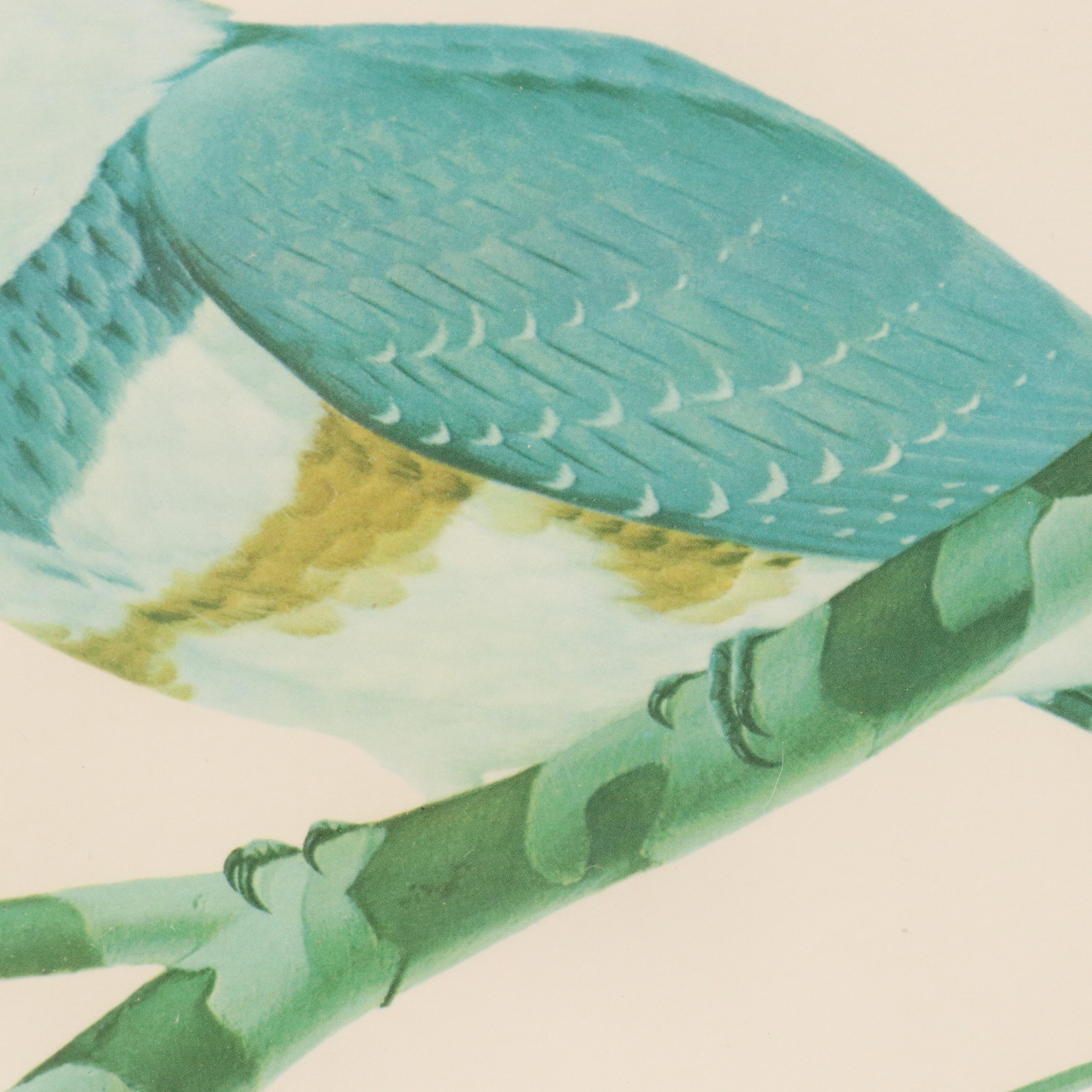 John Ruthven Offset Lithograph "Kingfisher"