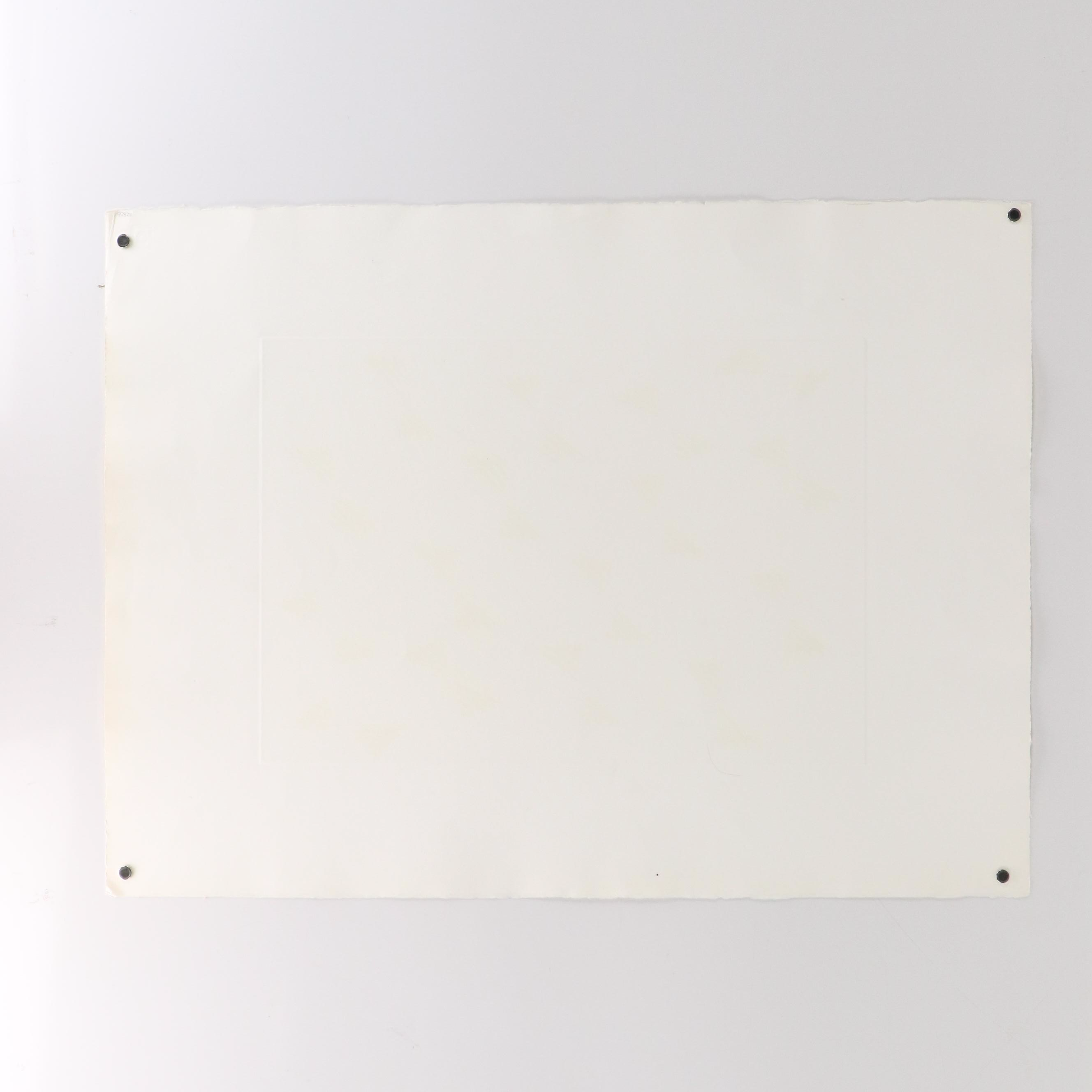 Tess Jaray Non-Objective Serigraphs, 1971