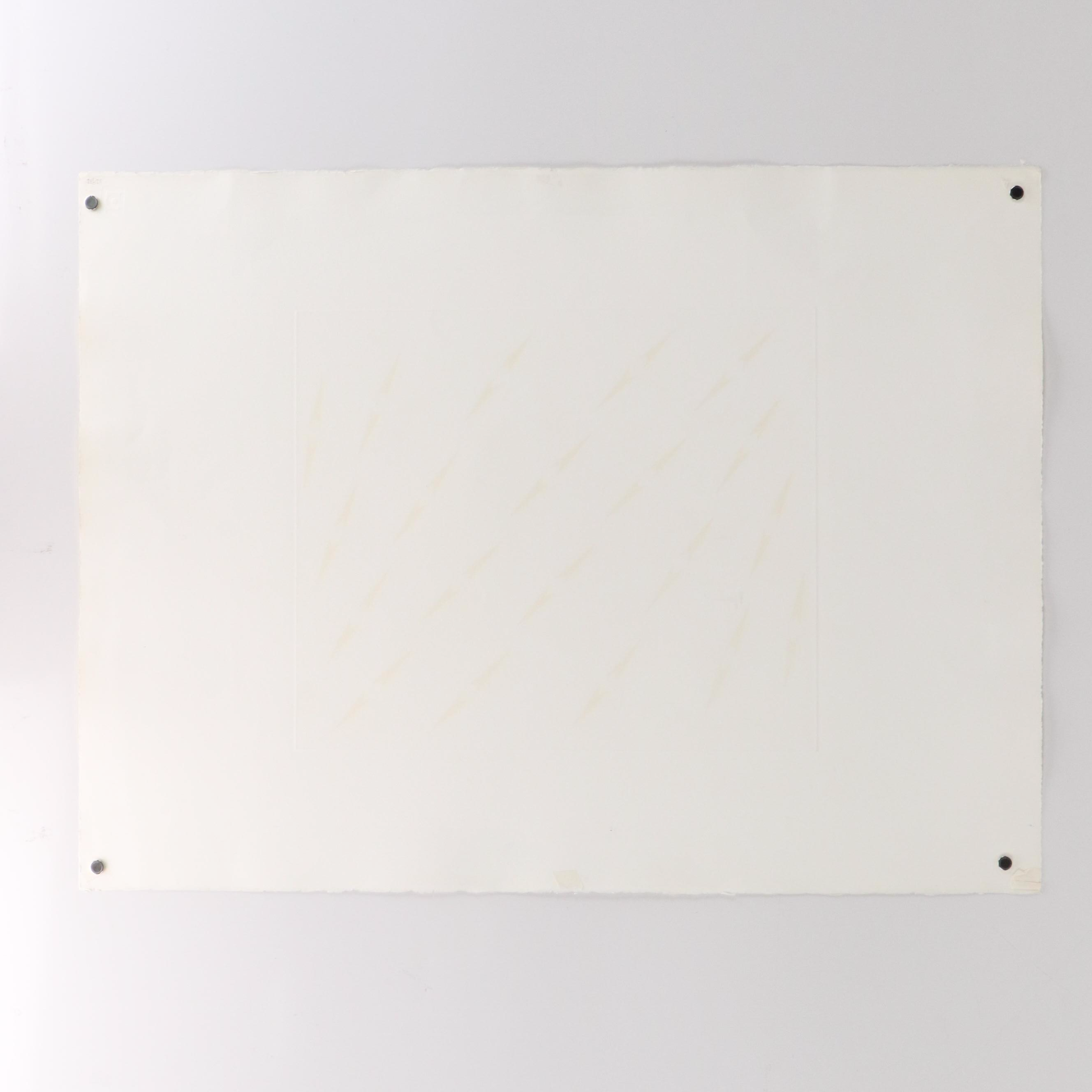 Tess Jaray Non-Objective Serigraphs, 1971