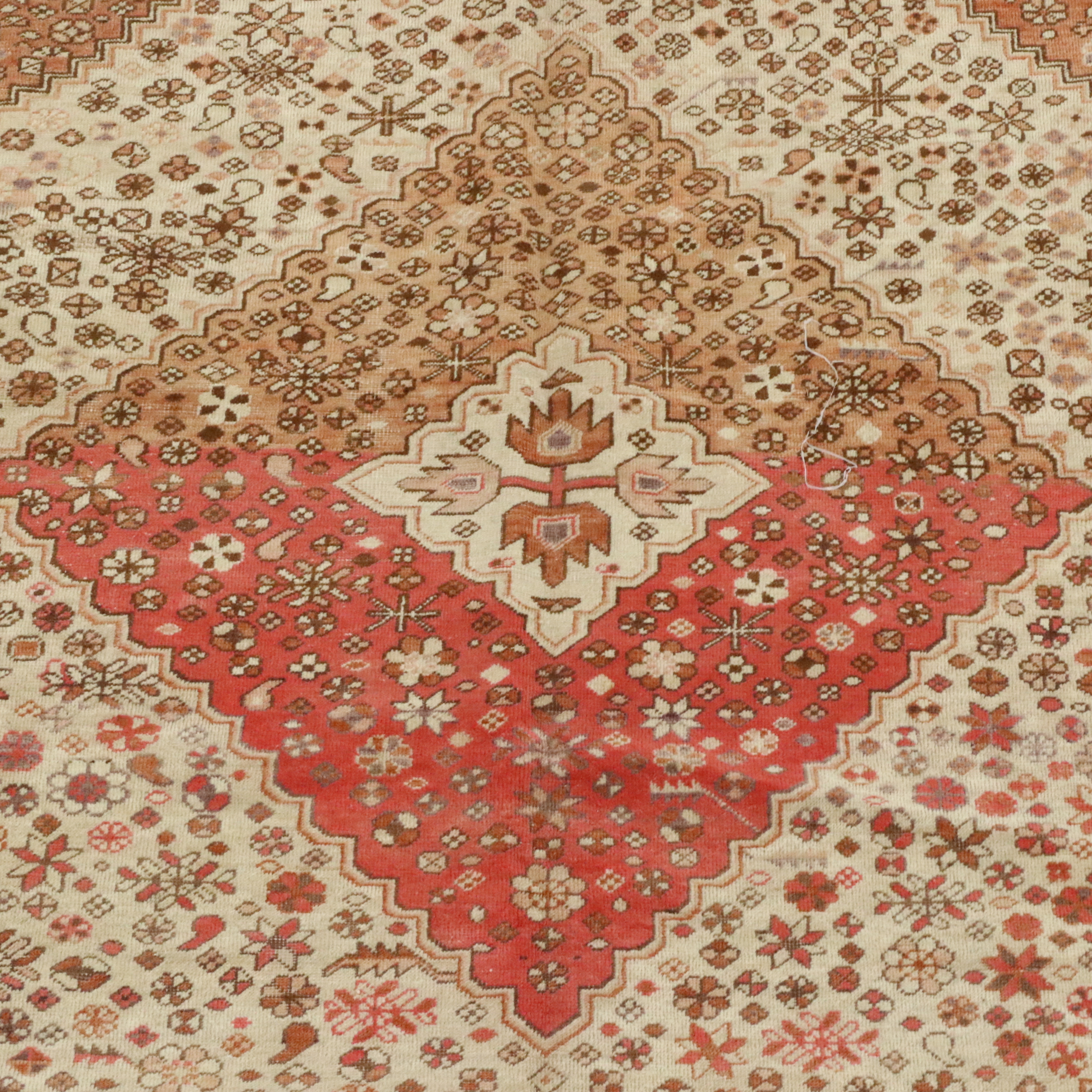 6'5 x 13'5 Hand-Knotted East Turkestan Khotan Long Rug