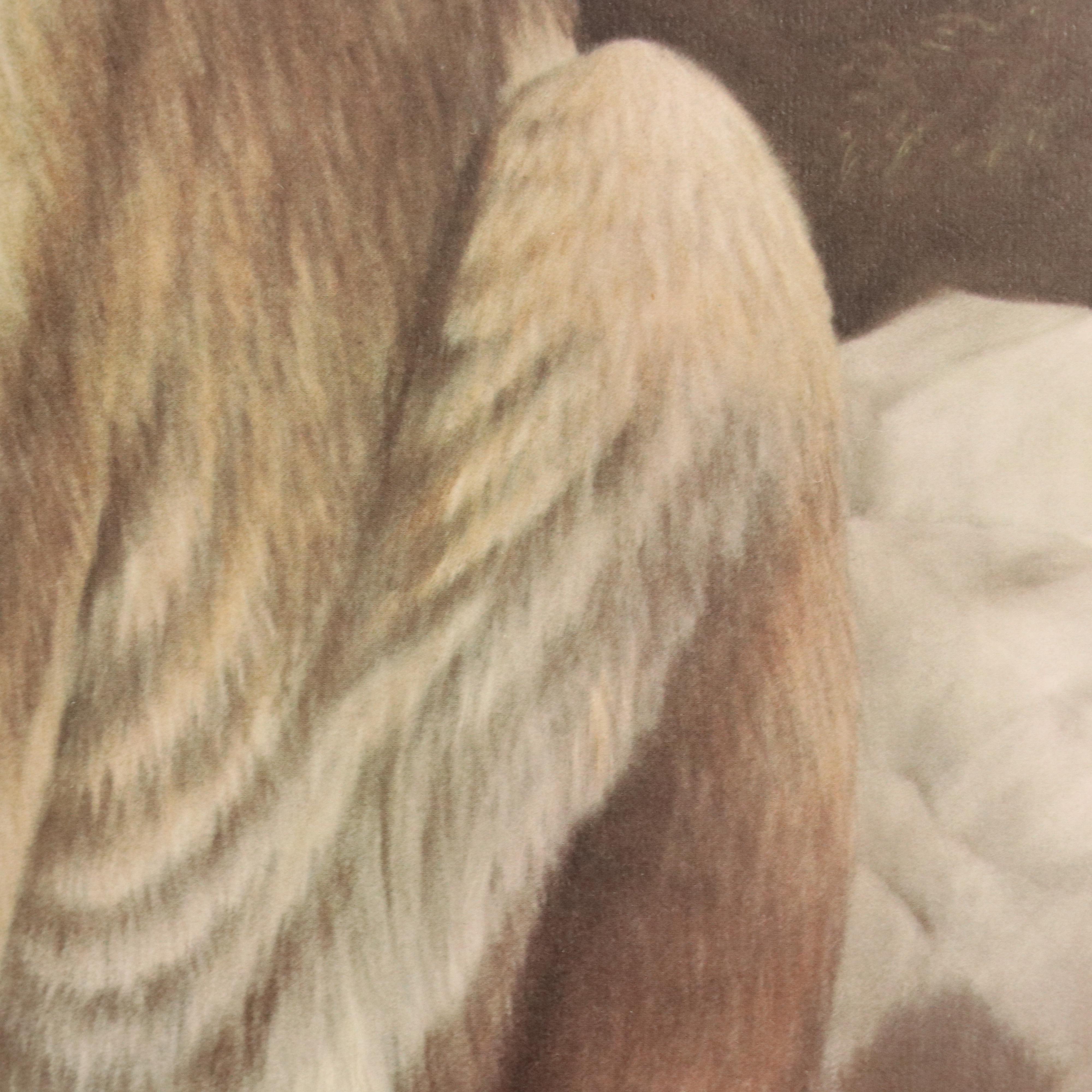 Harold Rigsby Offset Lithograph "Cougar," 1981