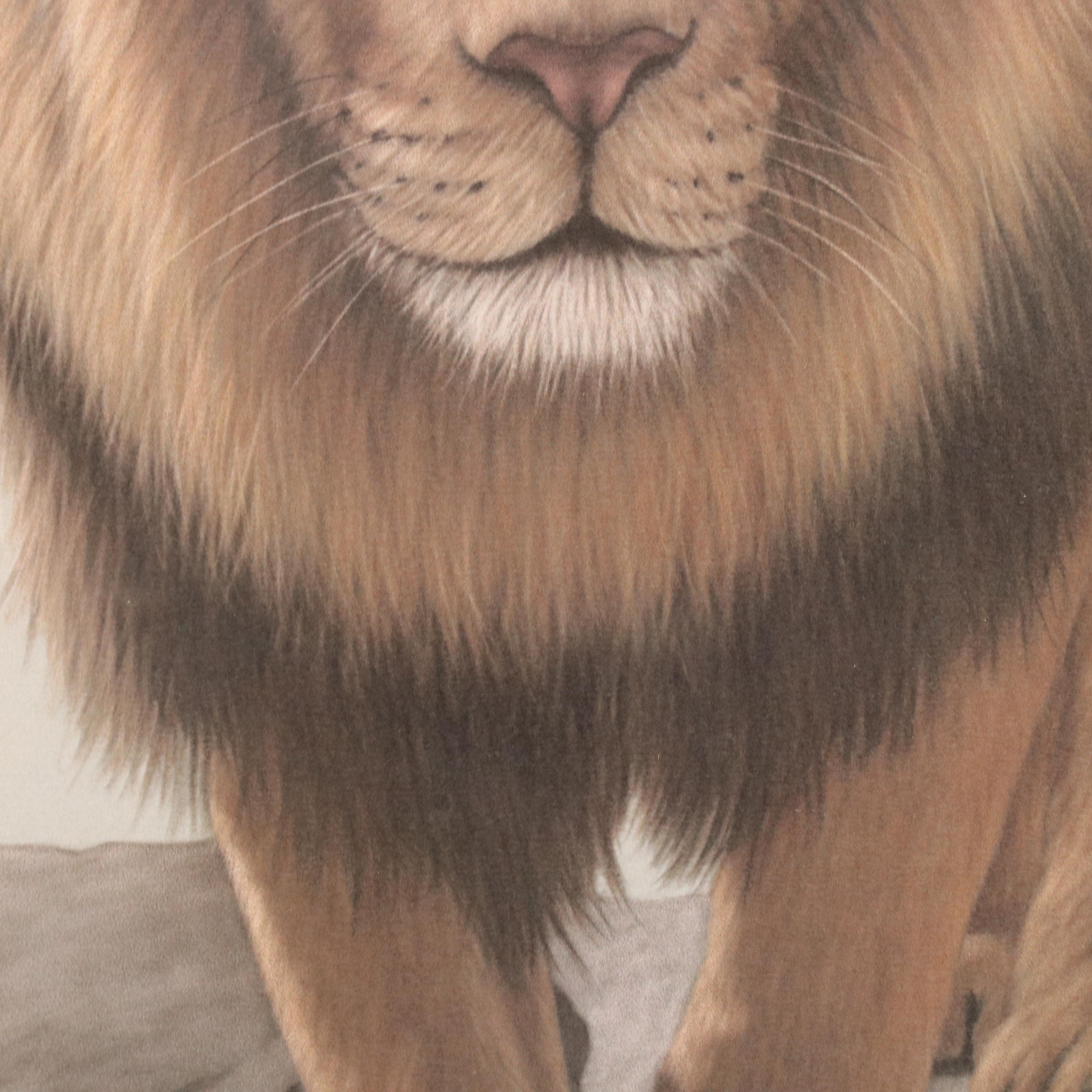 Harold Rigsby Offset Lithograph "African Lion III"