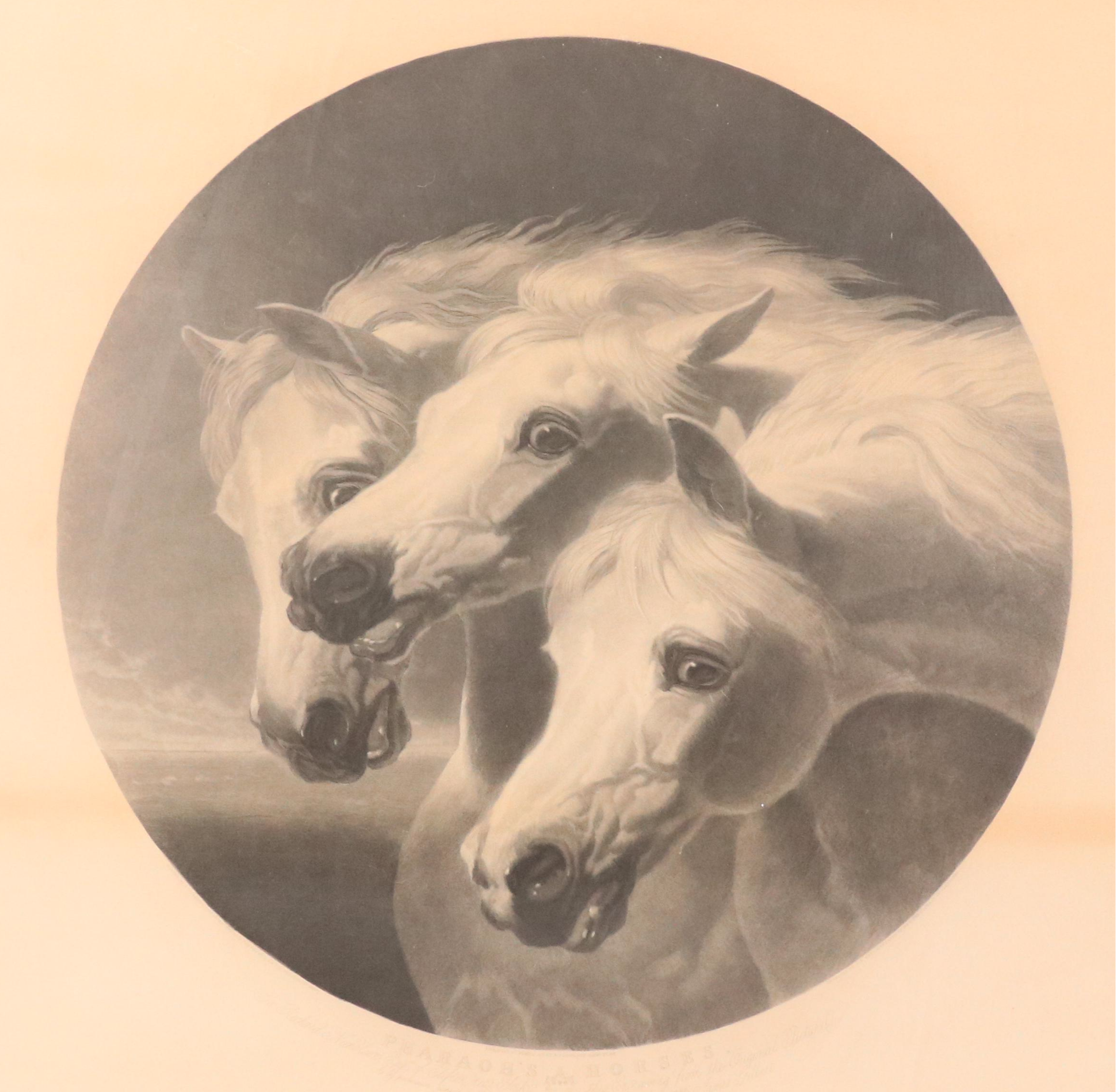 After John Frederick Herring Sr. Engraving "Pharaoh's Horses," Circa 1849