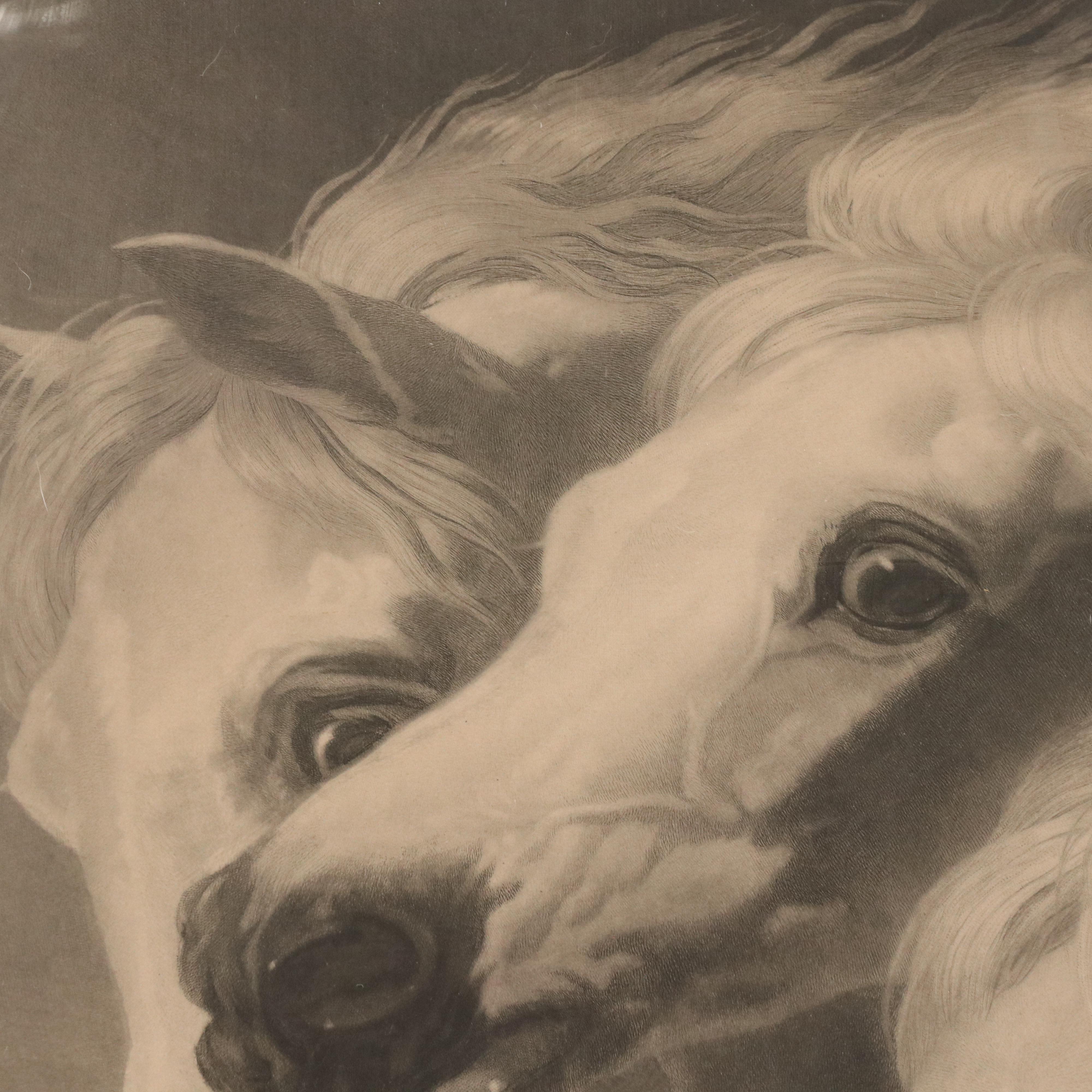 After John Frederick Herring Sr. Engraving "Pharaoh's Horses," Circa 1849