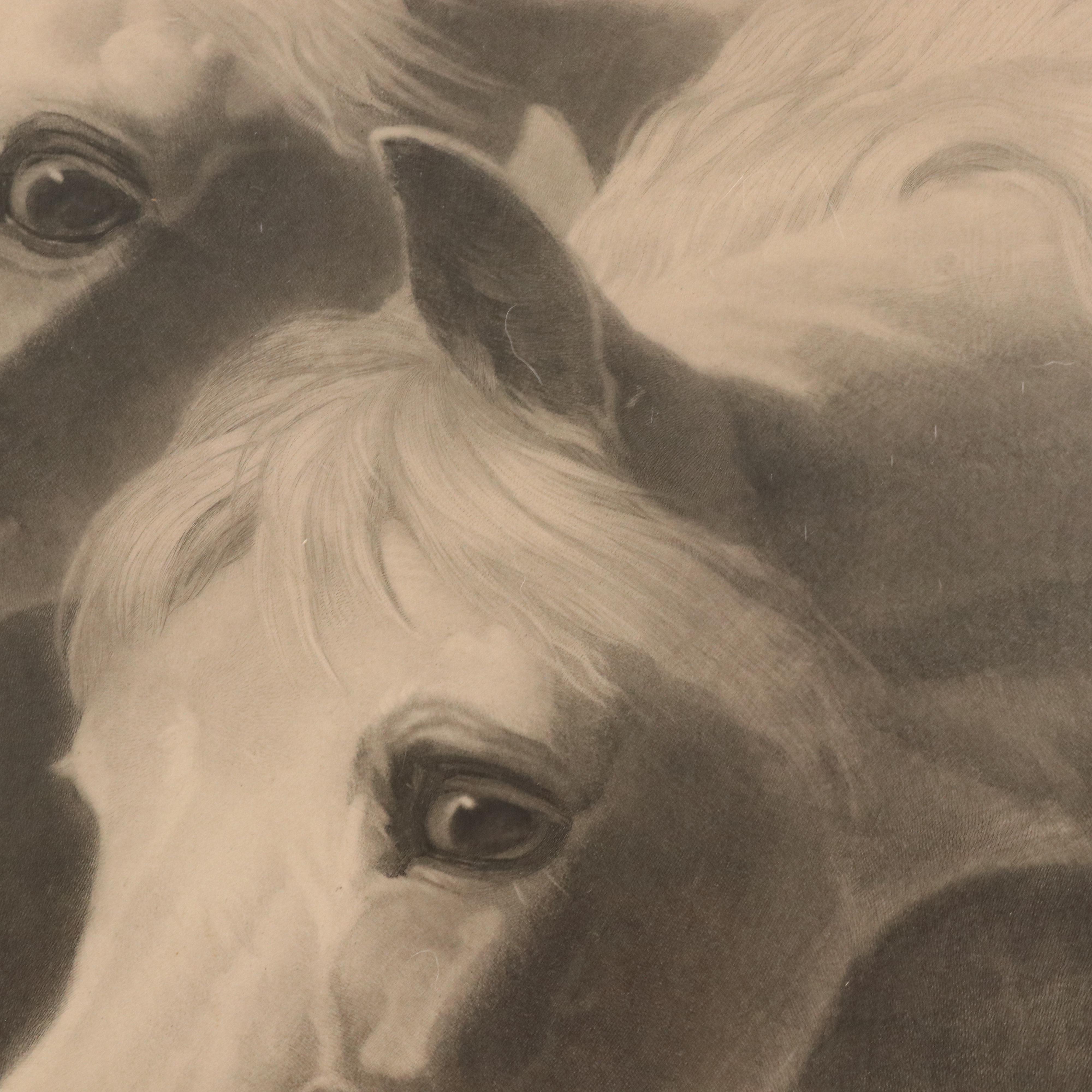 After John Frederick Herring Sr. Engraving "Pharaoh's Horses," Circa 1849