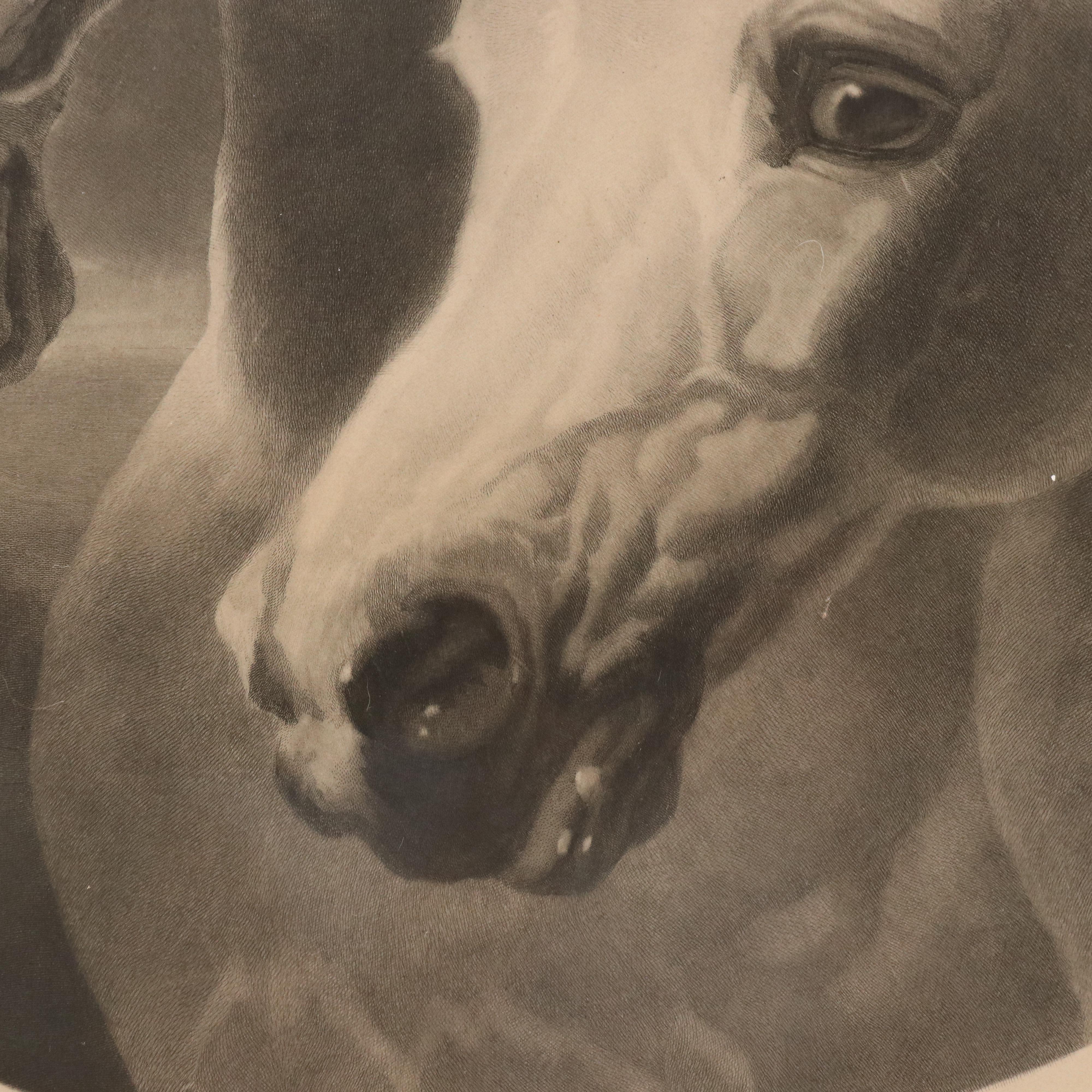 After John Frederick Herring Sr. Engraving "Pharaoh's Horses," Circa 1849