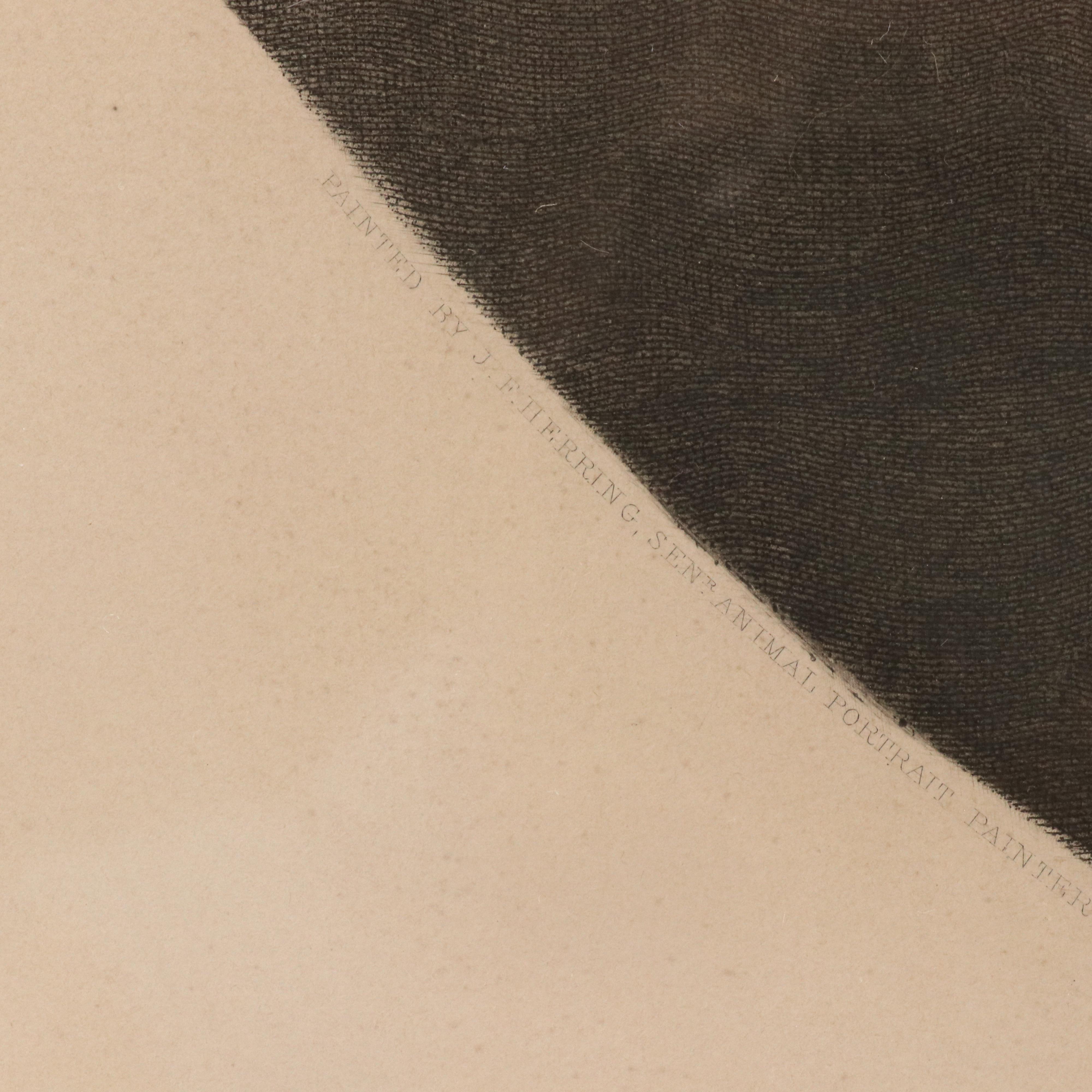 After John Frederick Herring Sr. Engraving "Pharaoh's Horses," Circa 1849