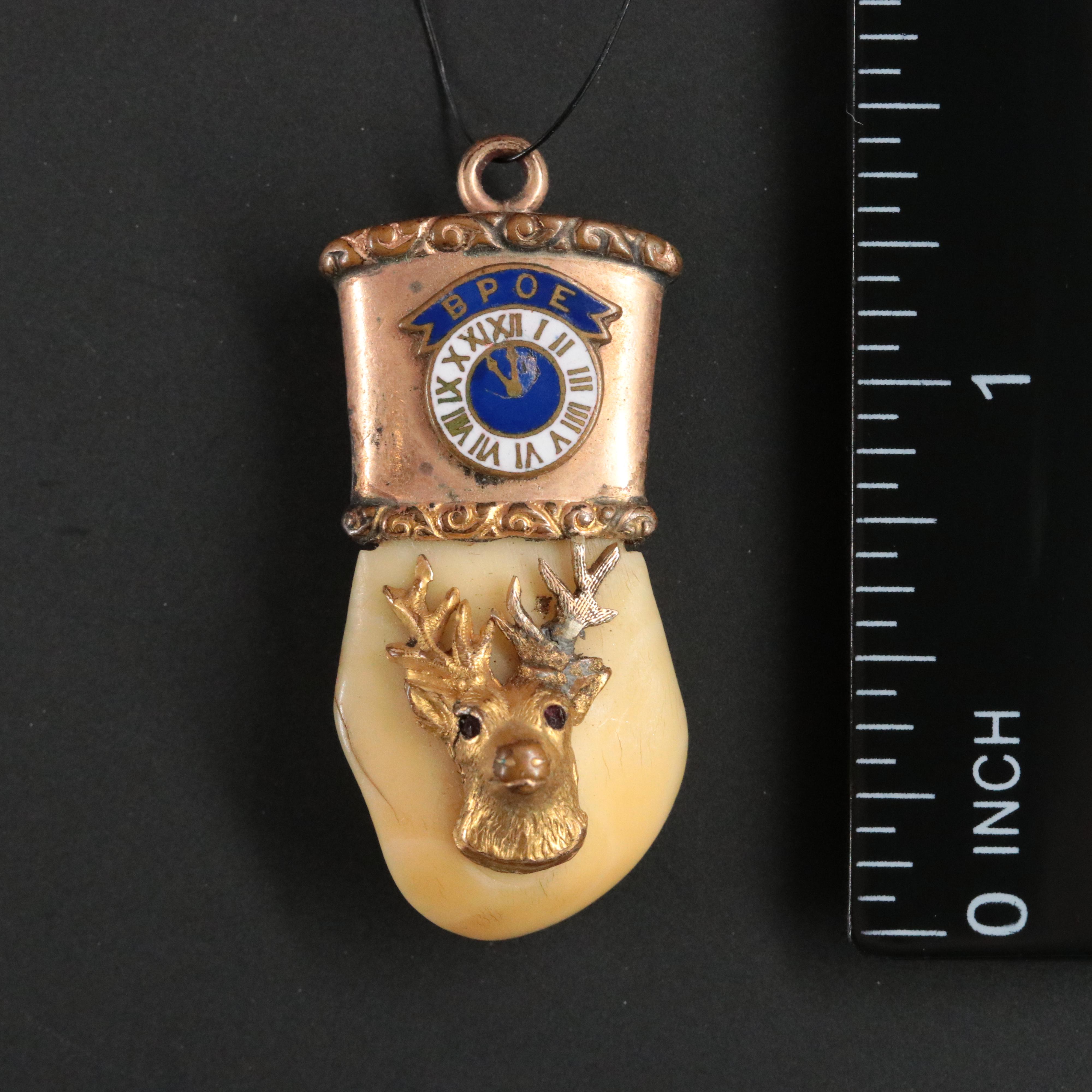 Antique Benevolent and Protective Order of Elks Elk Tooth Pendant