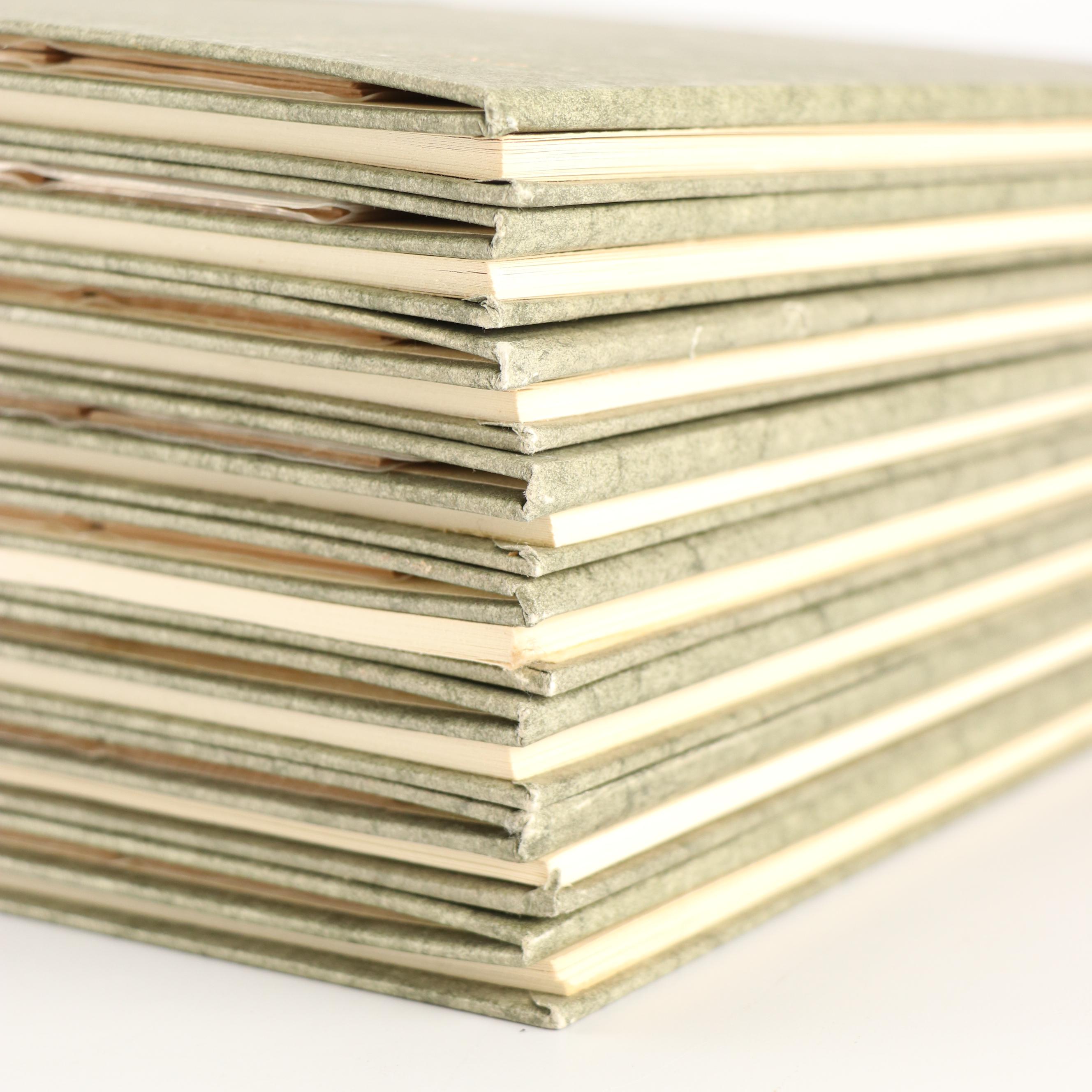 "Color Slide Books of the Great Masters" Complete Set and More Art History Books