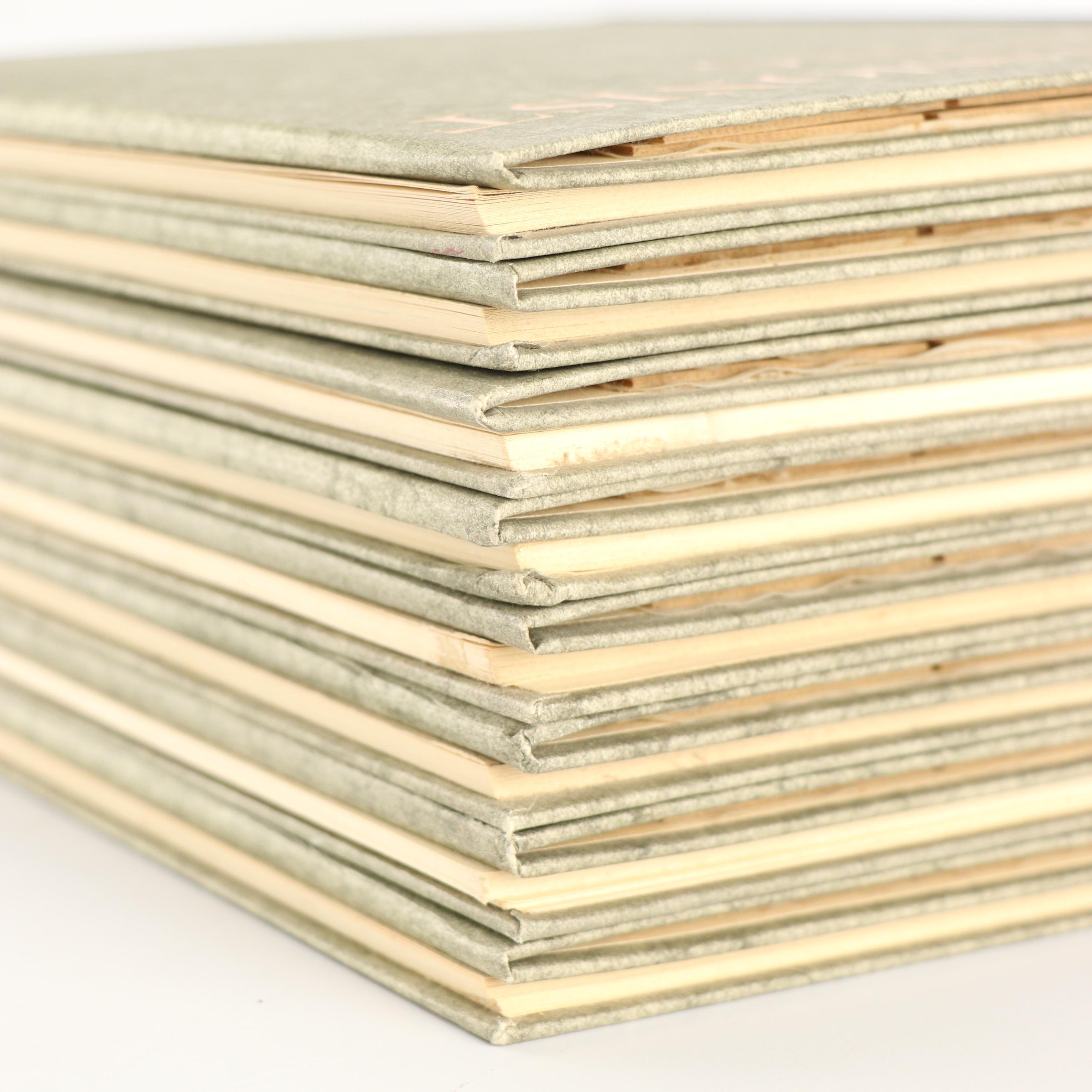 "Color Slide Books of the Great Masters" Complete Set and More Art History Books