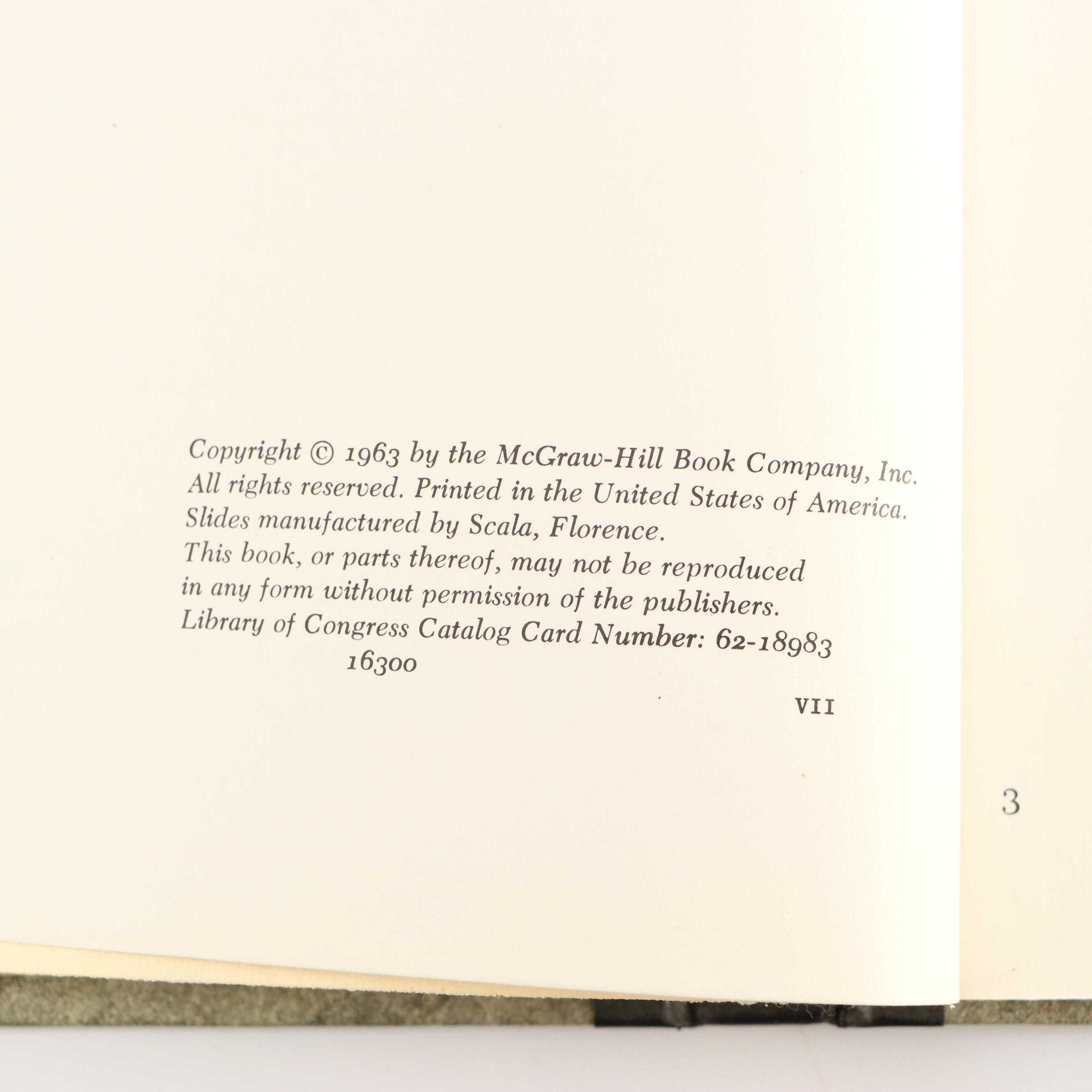 "Color Slide Books of the Great Masters" Complete Set and More Art History Books