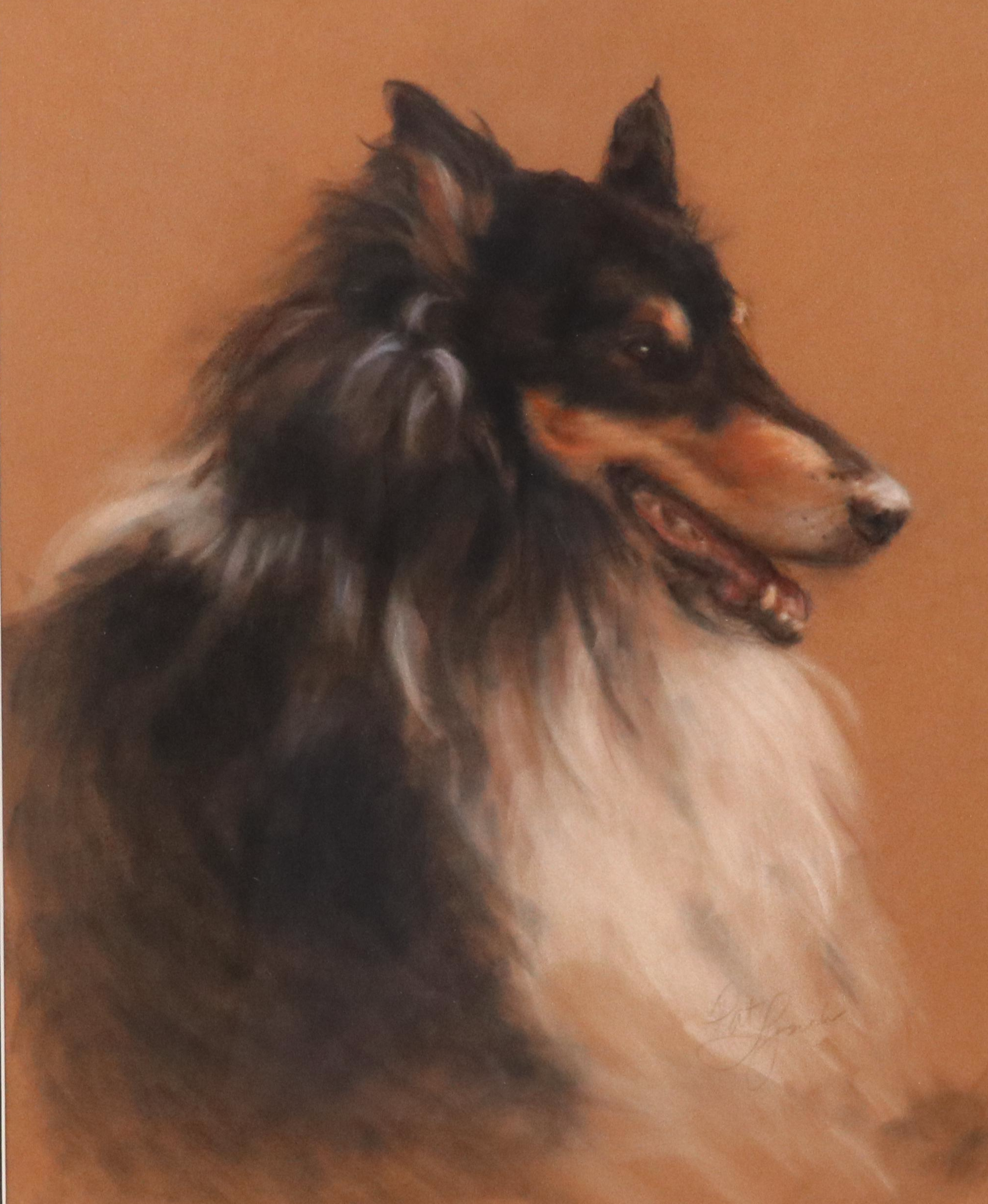Jan Mirra Pastel Dog Portrait of Rough Coat Collie