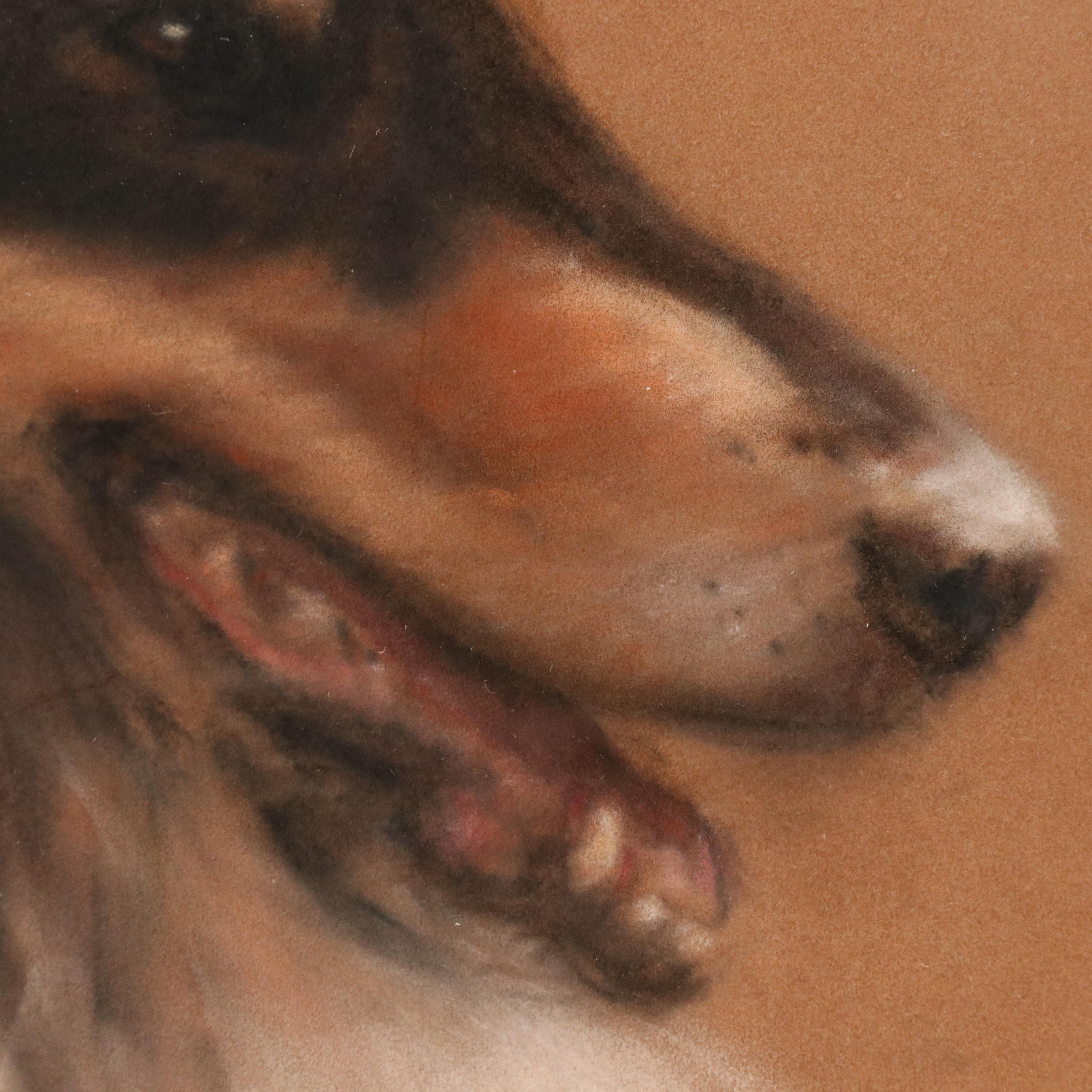 Jan Mirra Pastel Dog Portrait of Rough Coat Collie