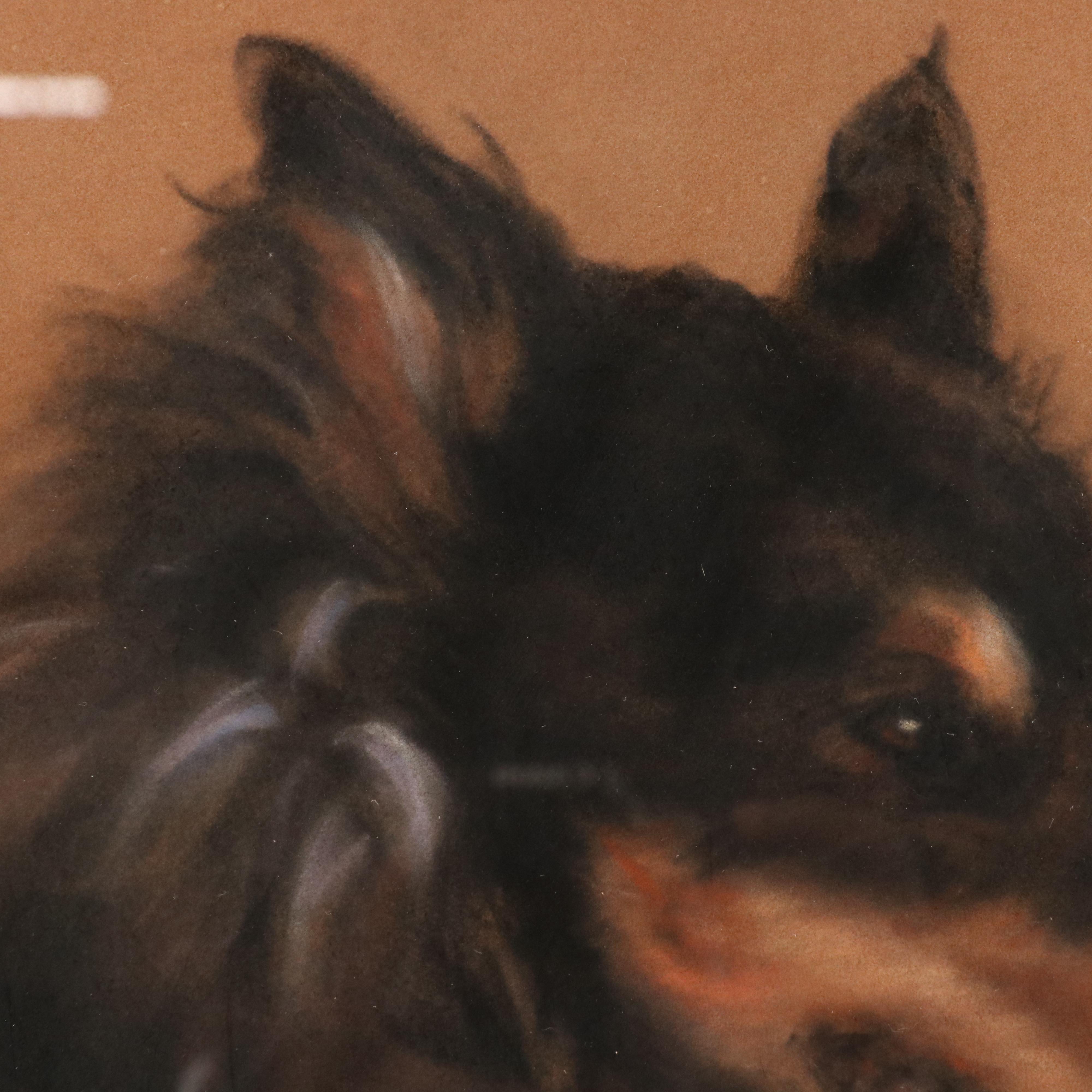 Jan Mirra Pastel Dog Portrait of Rough Coat Collie