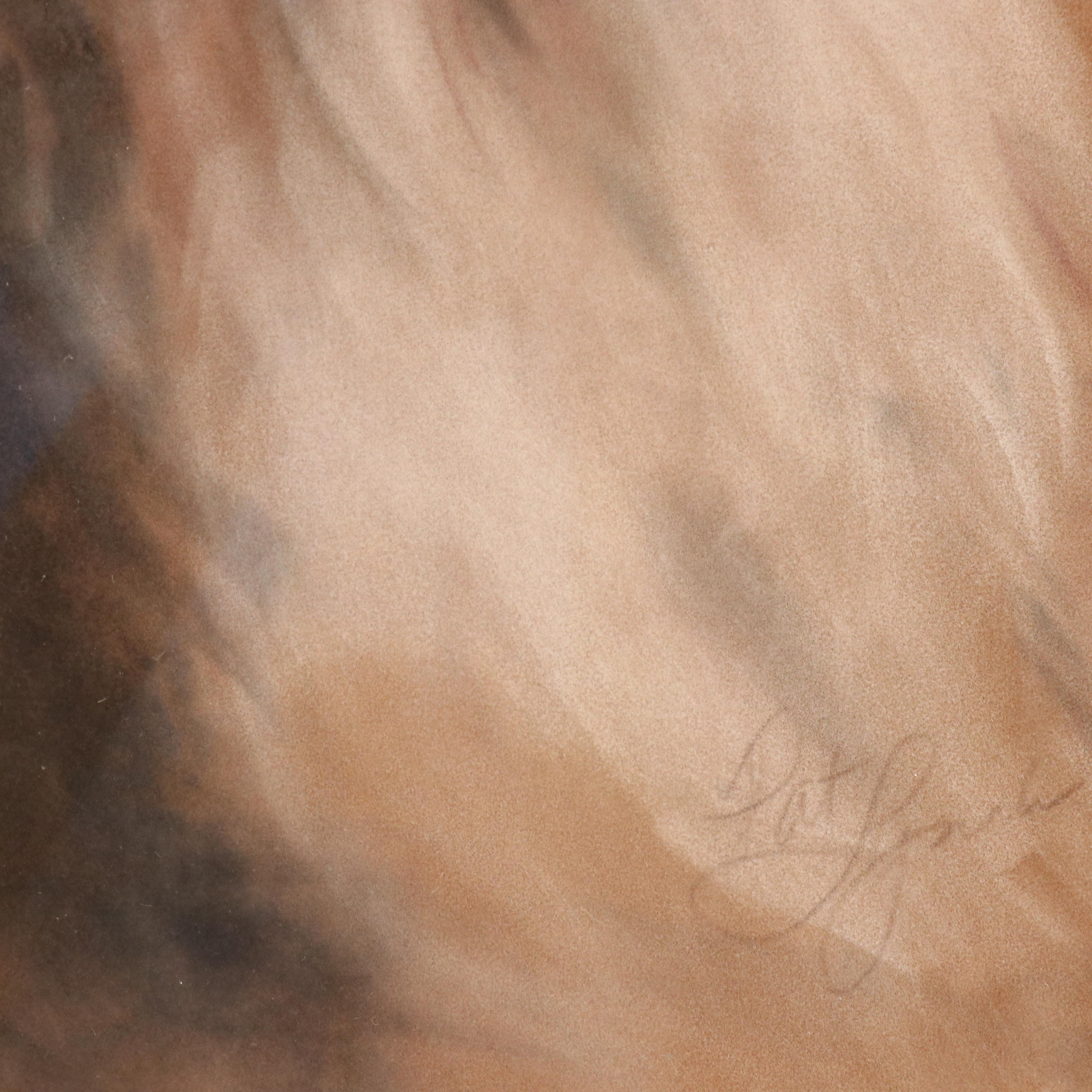 Jan Mirra Pastel Dog Portrait of Rough Coat Collie