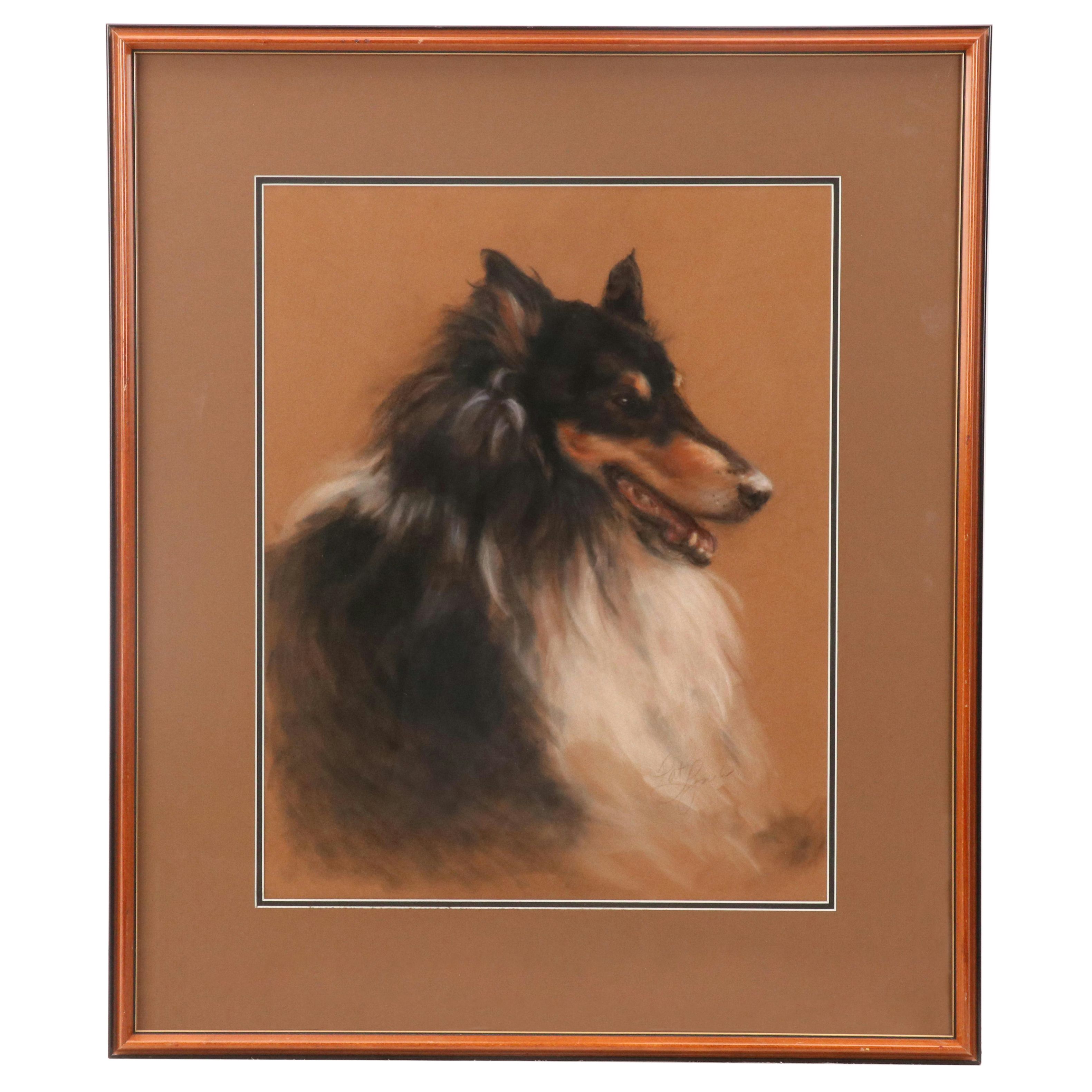Jan Mirra Pastel Dog Portrait of Rough Coat Collie