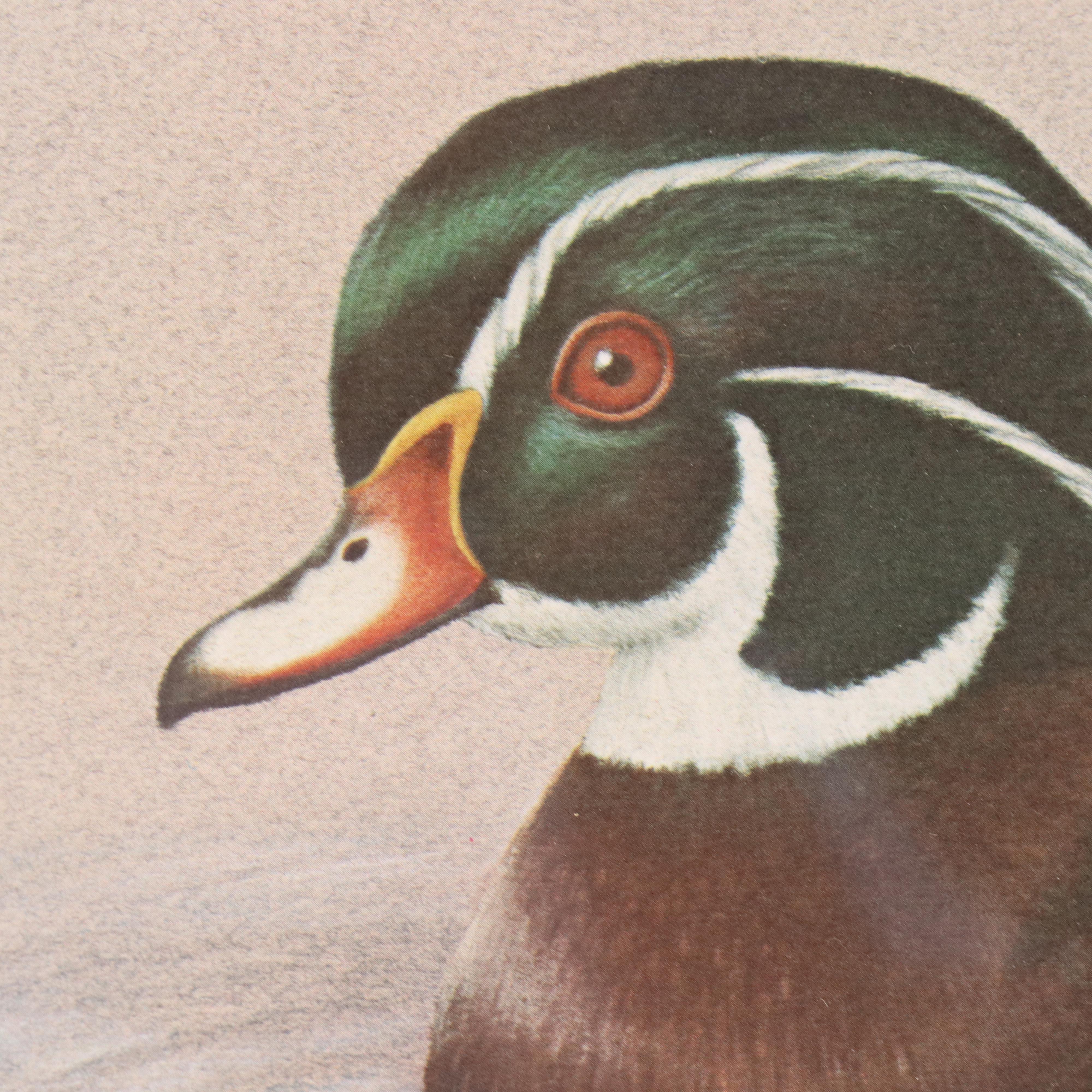 Harold Rigsby Offset Lithograph of Wood Duck