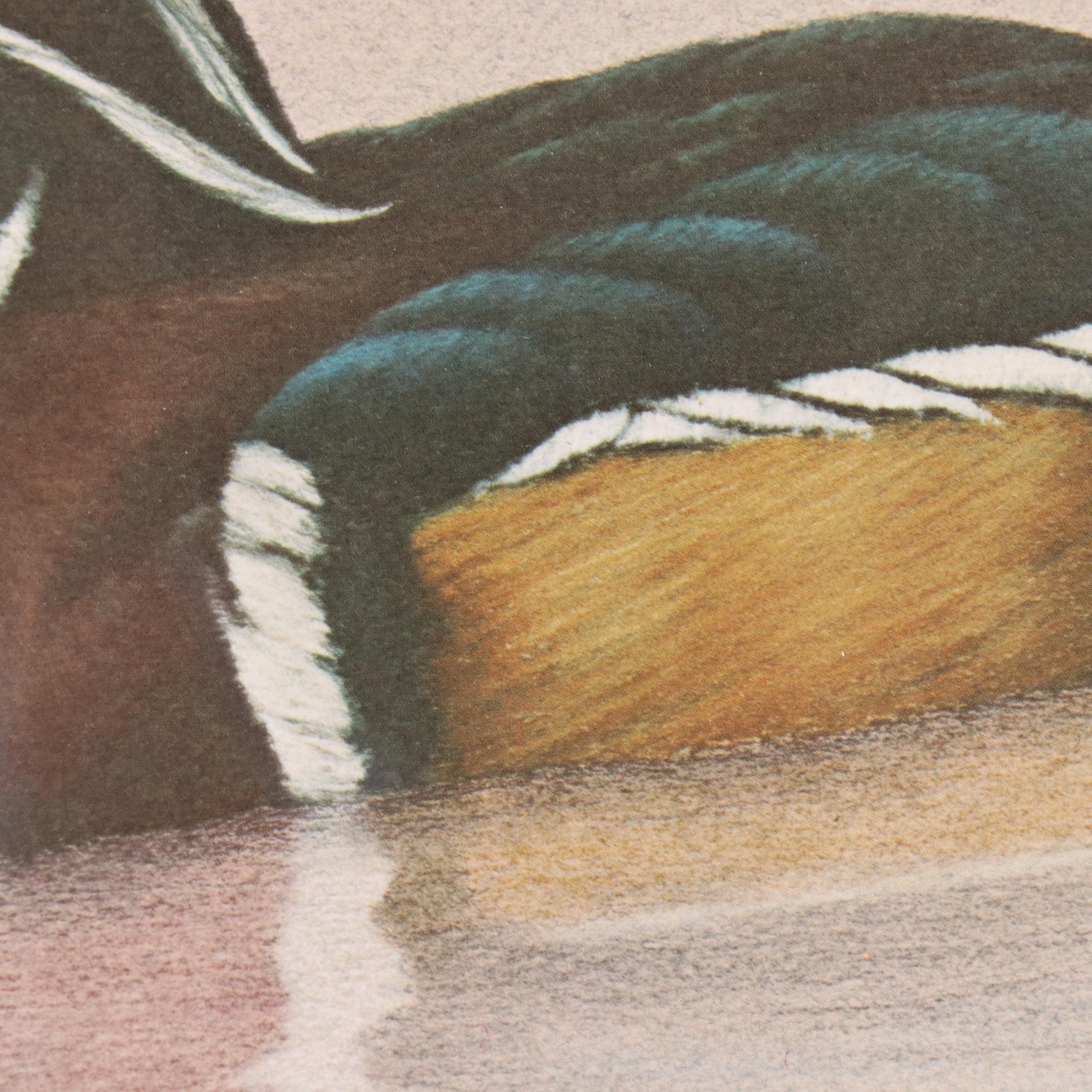 Harold Rigsby Offset Lithograph of Wood Duck