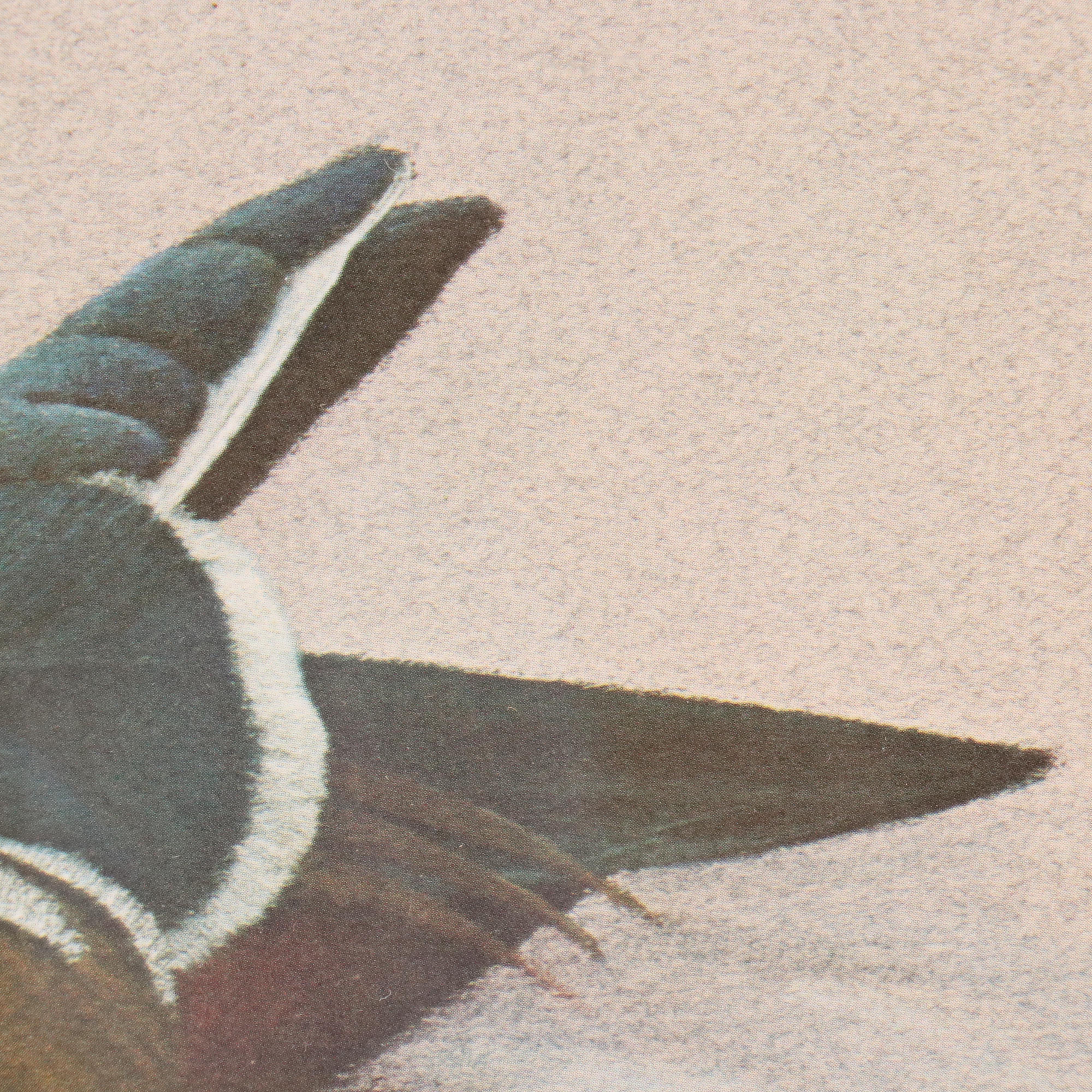 Harold Rigsby Offset Lithograph of Wood Duck