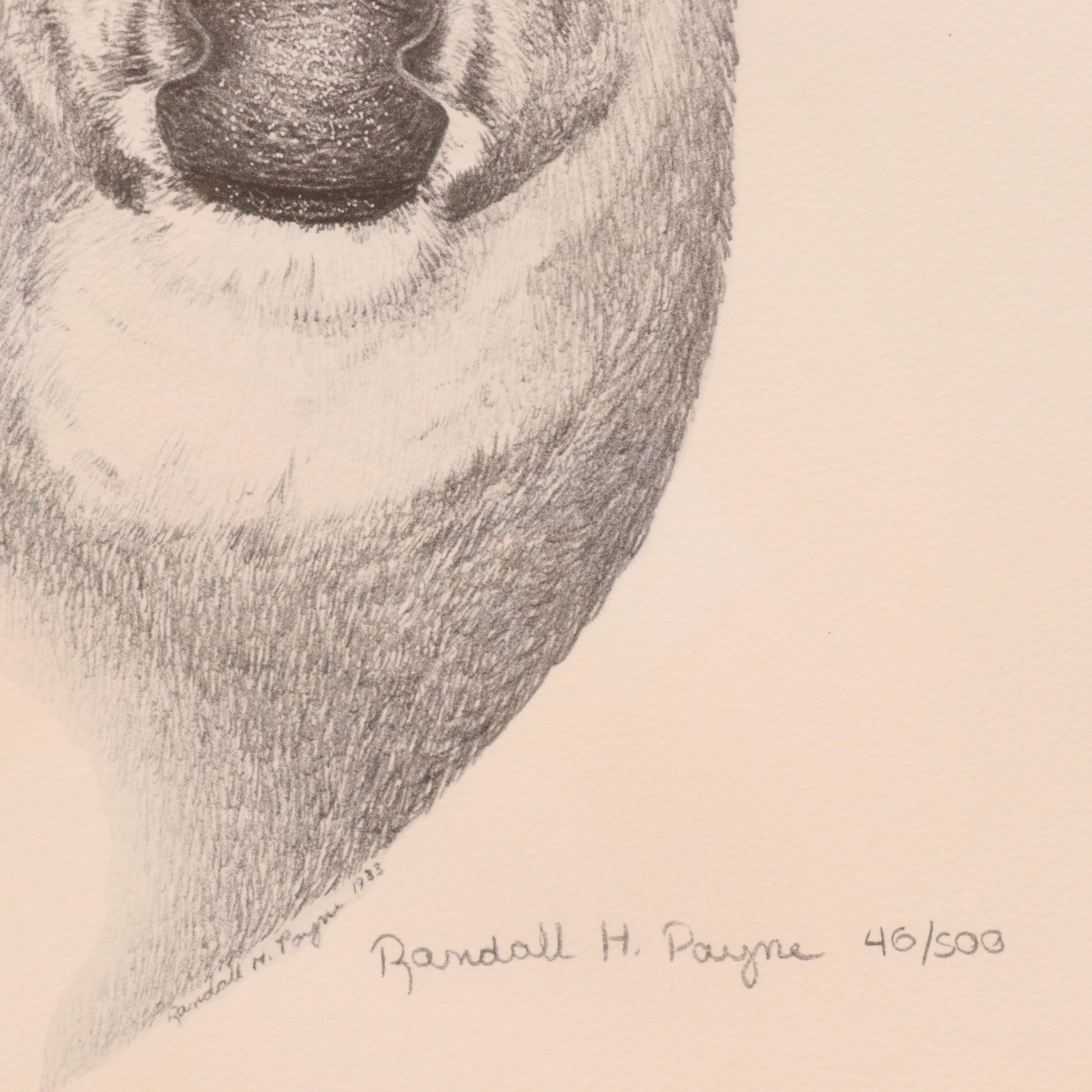 Randolph H. Payne Halftone of a Buck