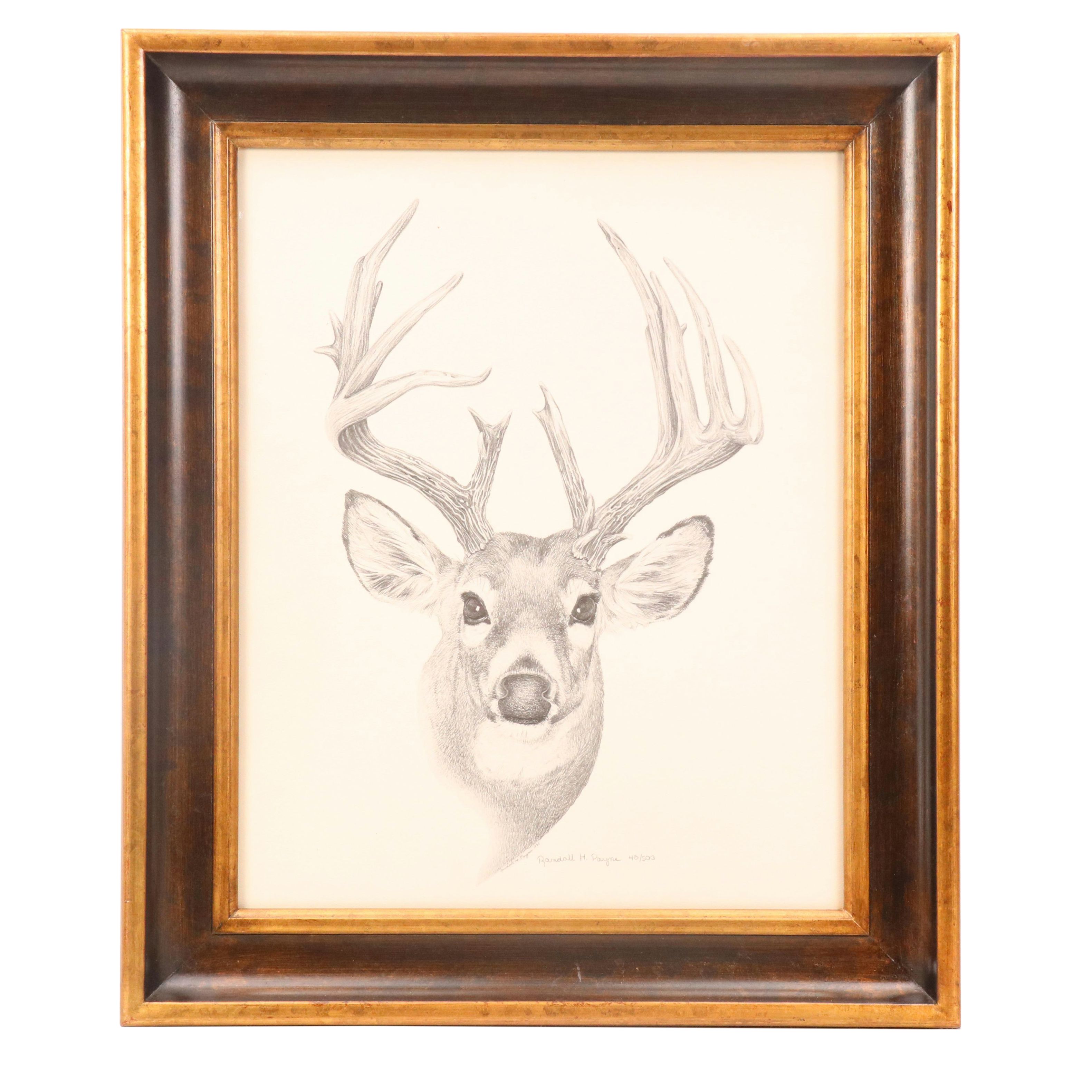 Randolph H. Payne Halftone of a Buck
