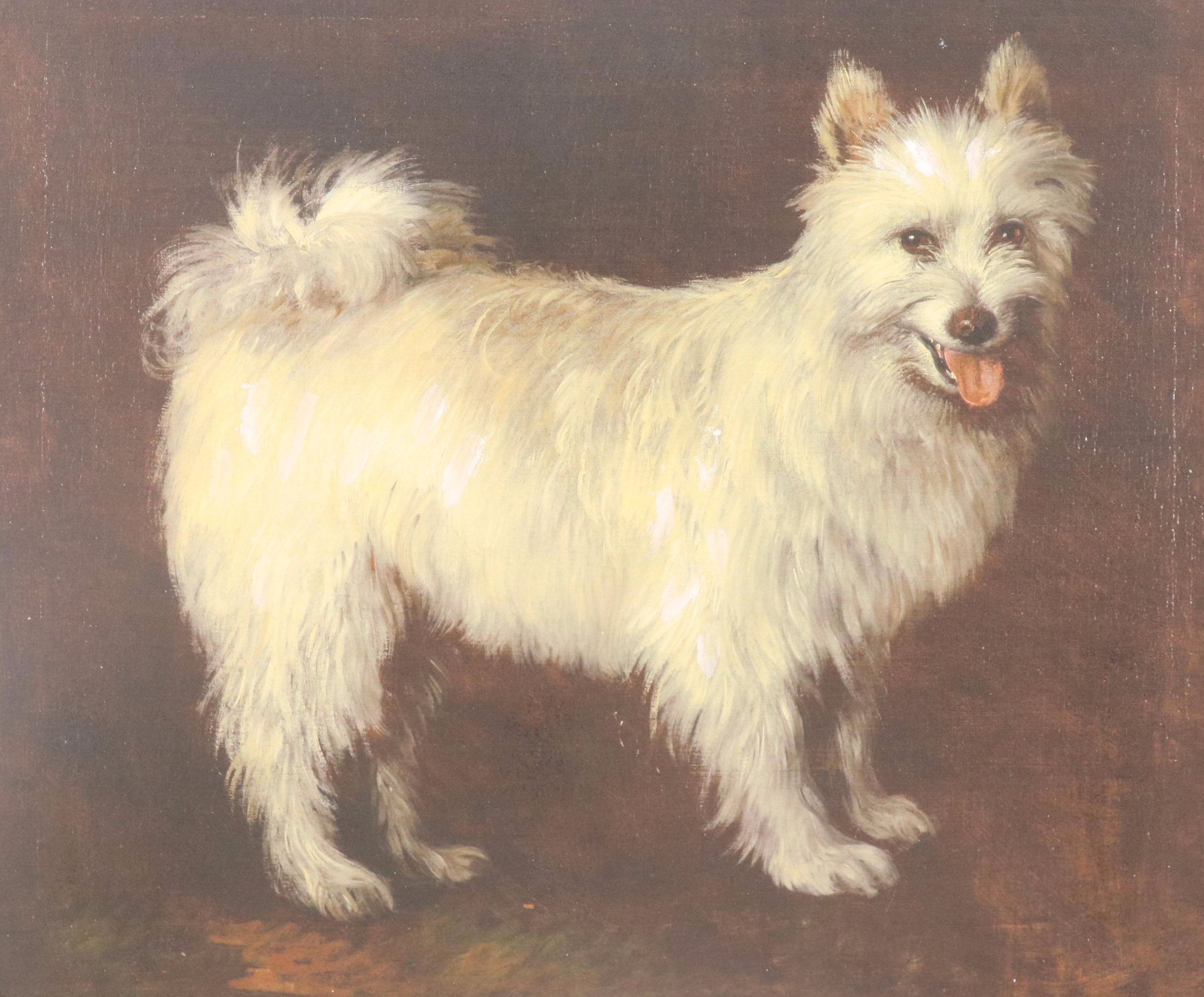 Giclée "Spitz Dog" After Thomas Gainsborough