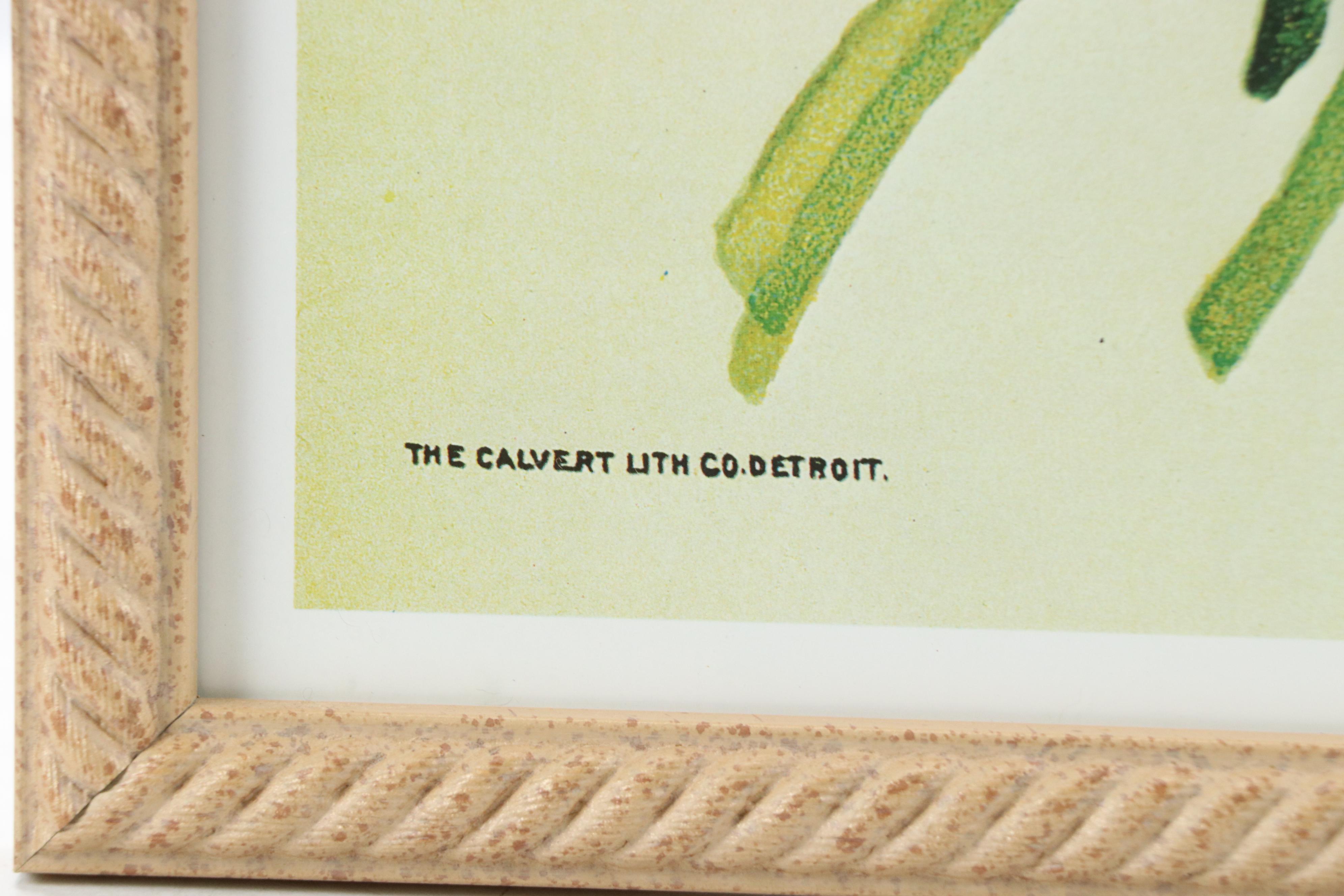 Offset Lithograph After Victorian Seed Catalog