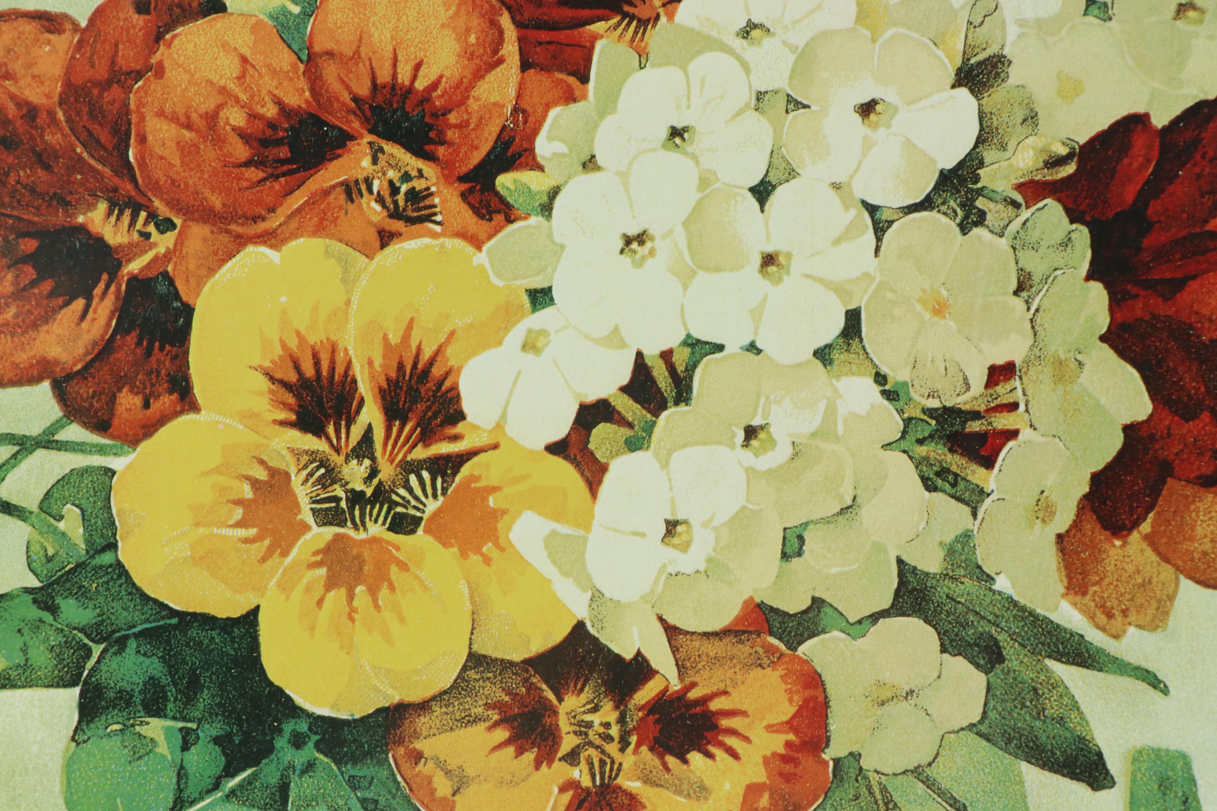 Offset Lithograph After Victorian Seed Catalog