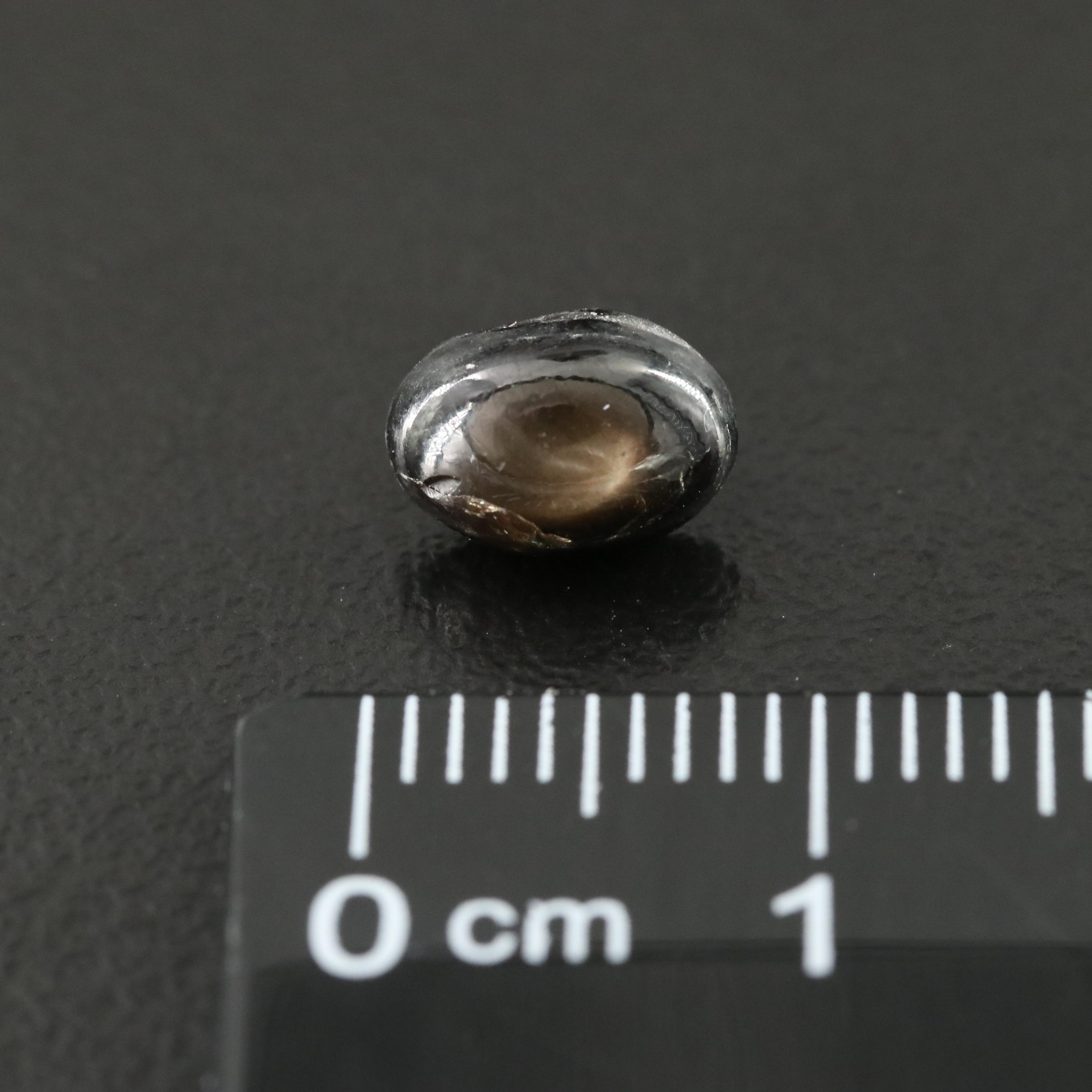 Loose 1.78 CT Star Sapphire