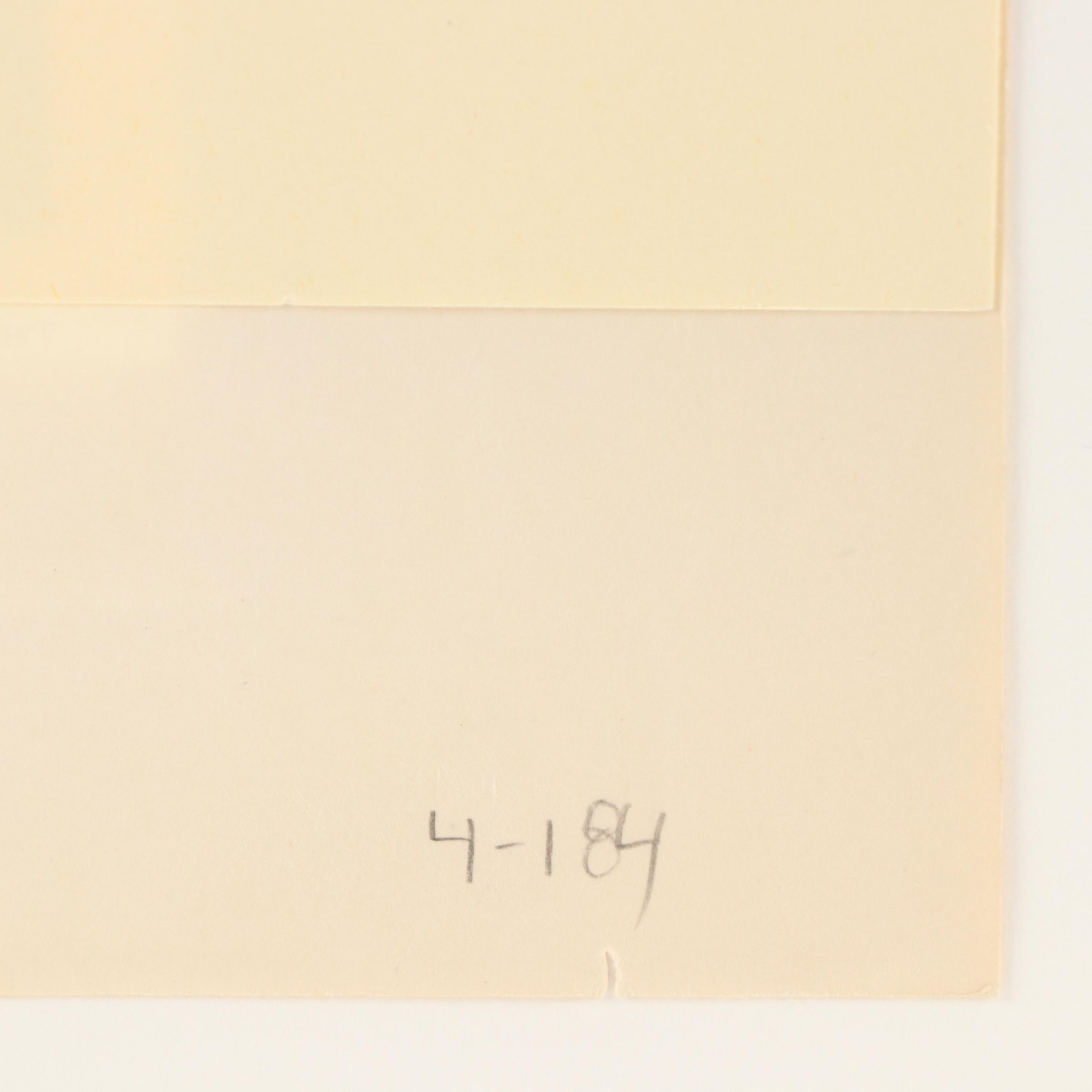 After Edward Sheriff Curtis Photogravure "The Mythic Stone - Hidatsa"