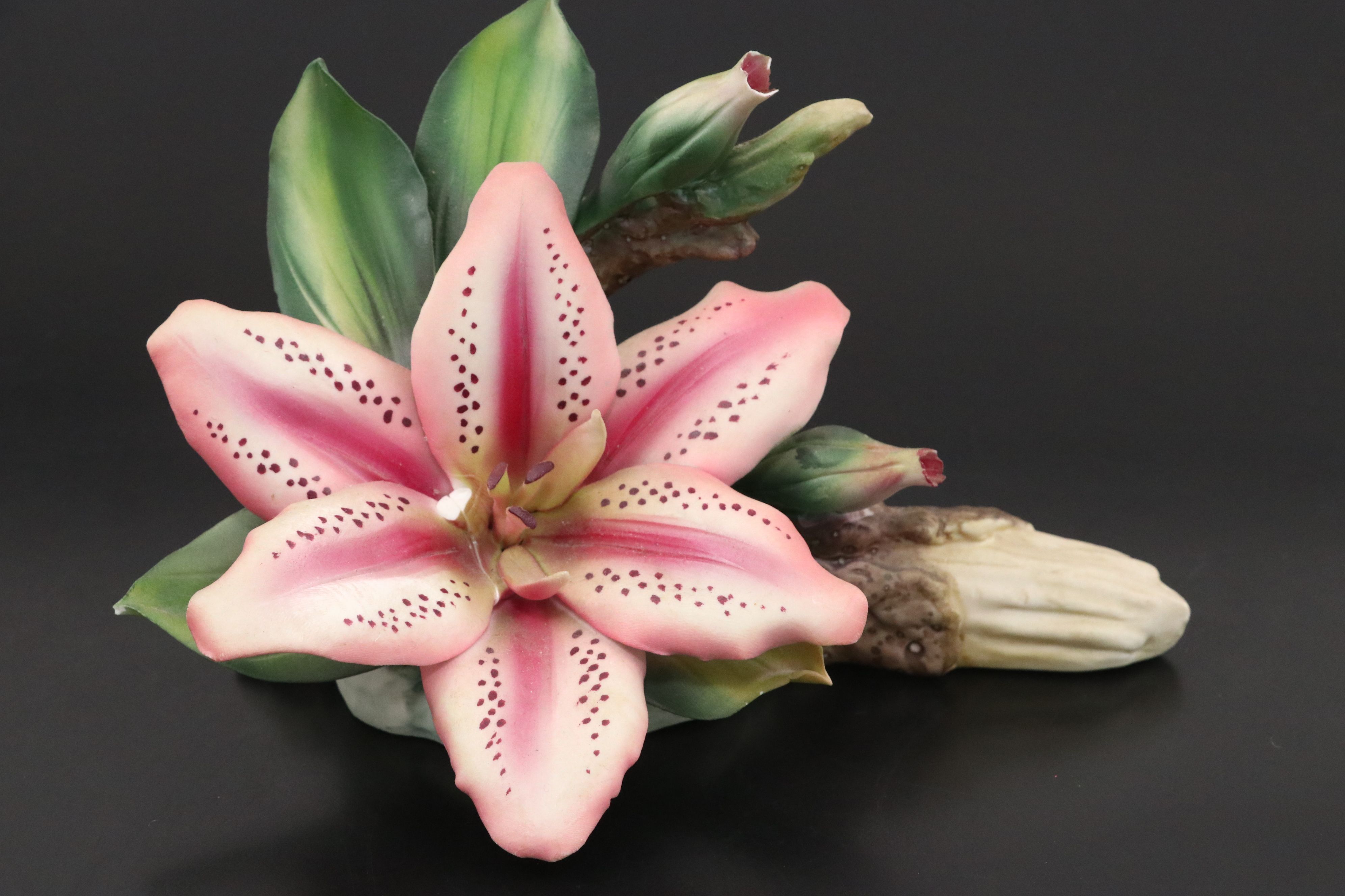 Capodimonte Porcelain Lily, Ceramic Bathroom Accessories, and Porcelain Mug