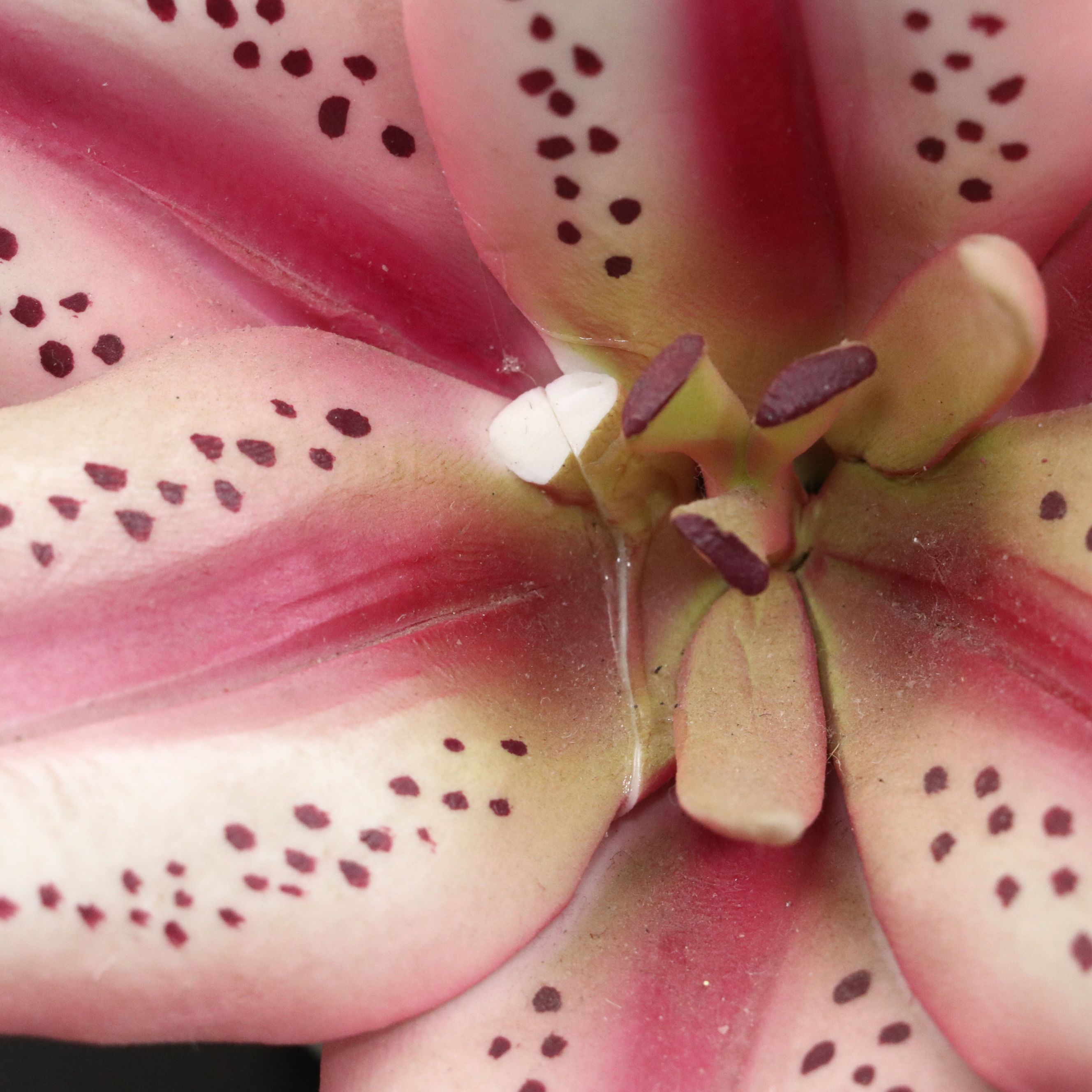 Capodimonte Porcelain Lily, Ceramic Bathroom Accessories, and Porcelain Mug