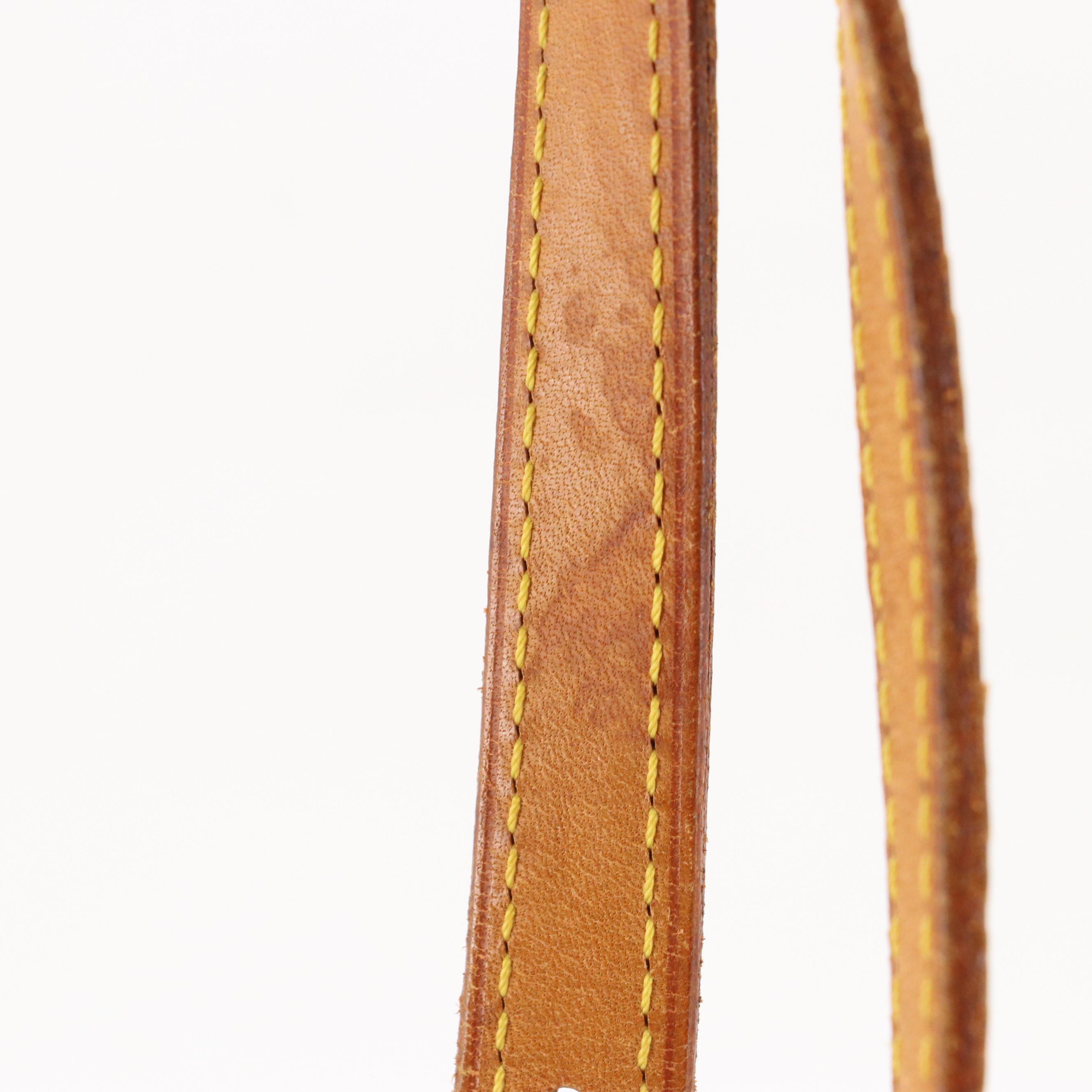 Louis Vuitton Petite Bucket Bag in Monogram Canvas and Vachetta Leather