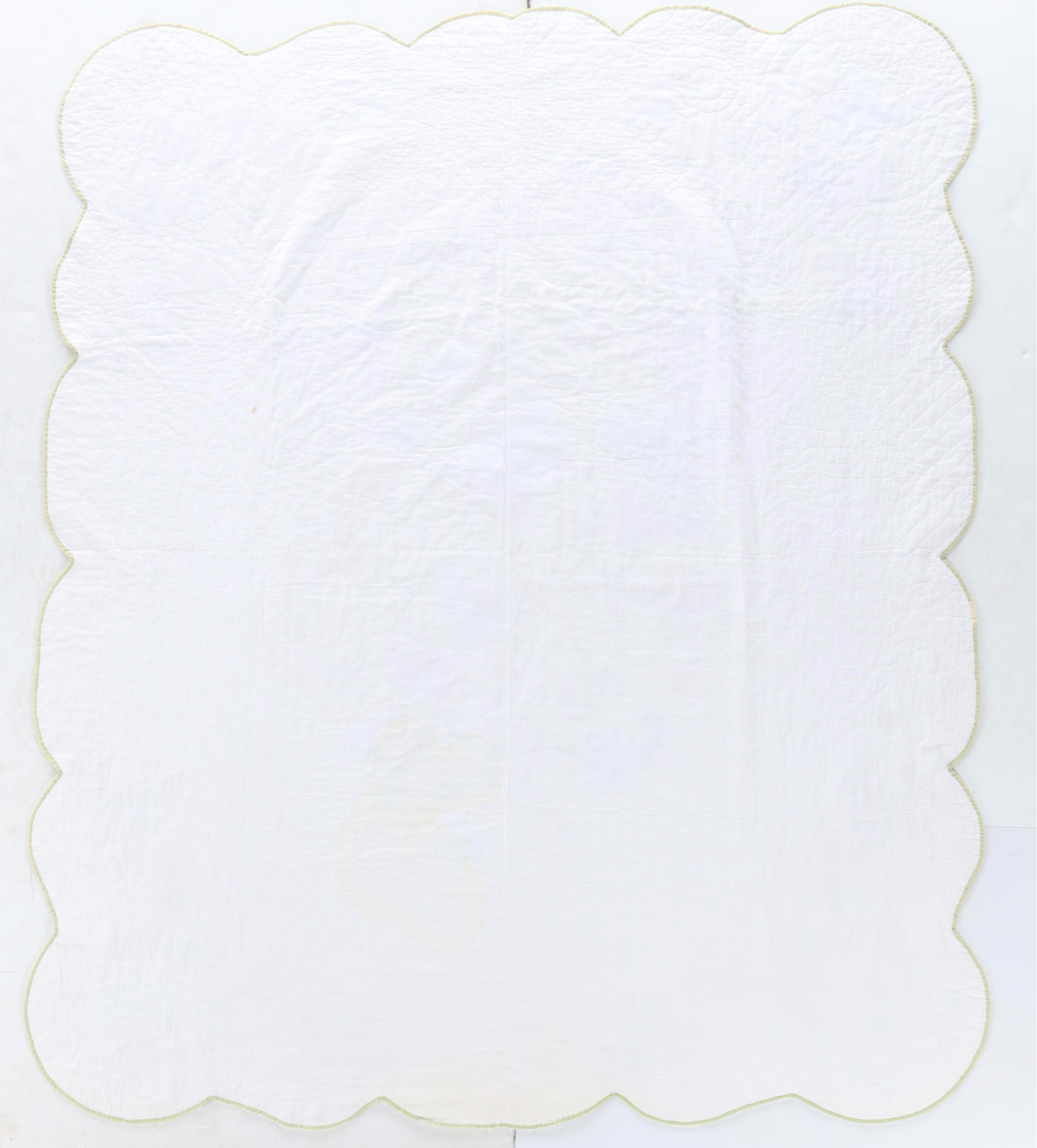 Hand-Pieced Applique on Whole Cloth "Tree of Life" Floral Quilt