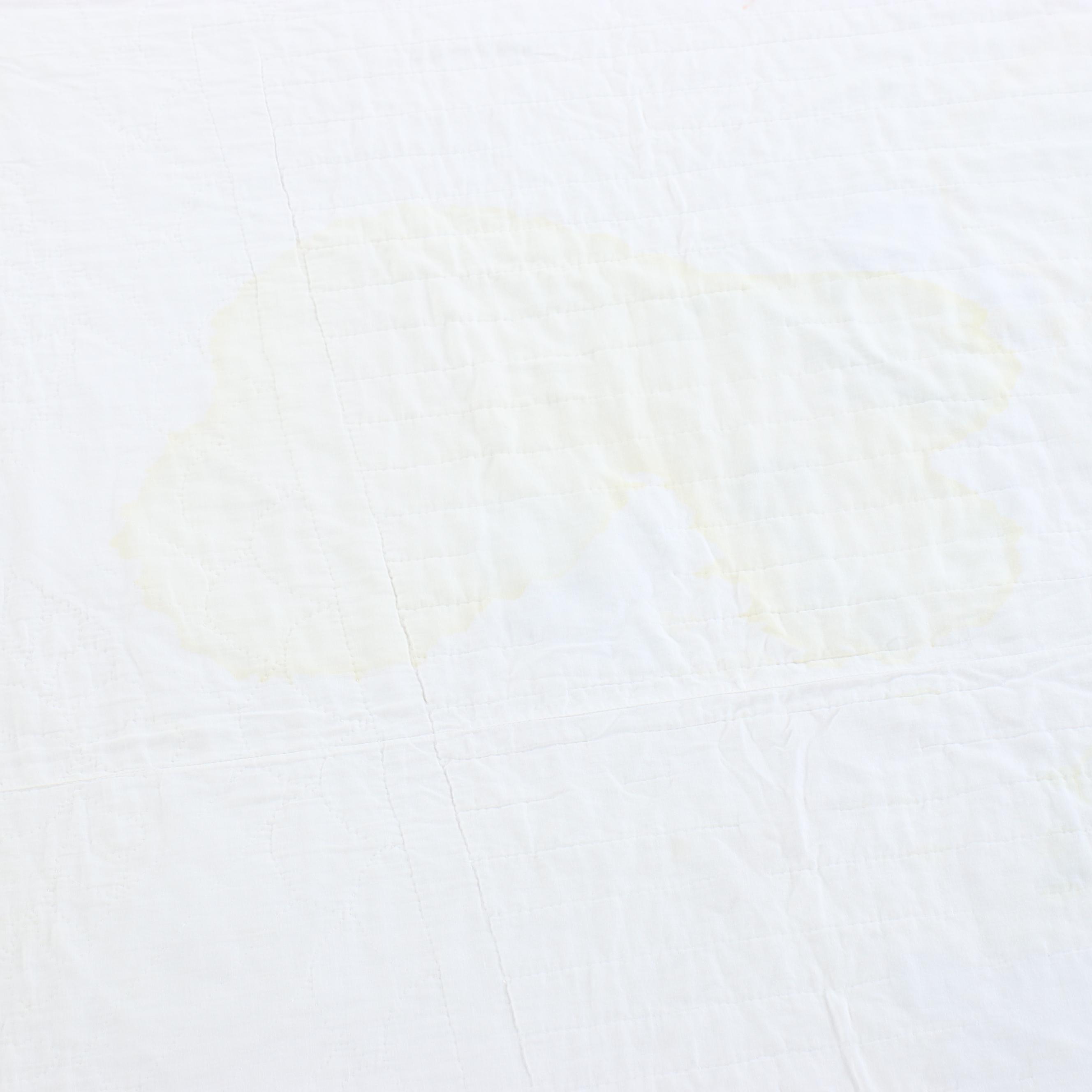 Hand-Pieced Applique on Whole Cloth "Tree of Life" Floral Quilt