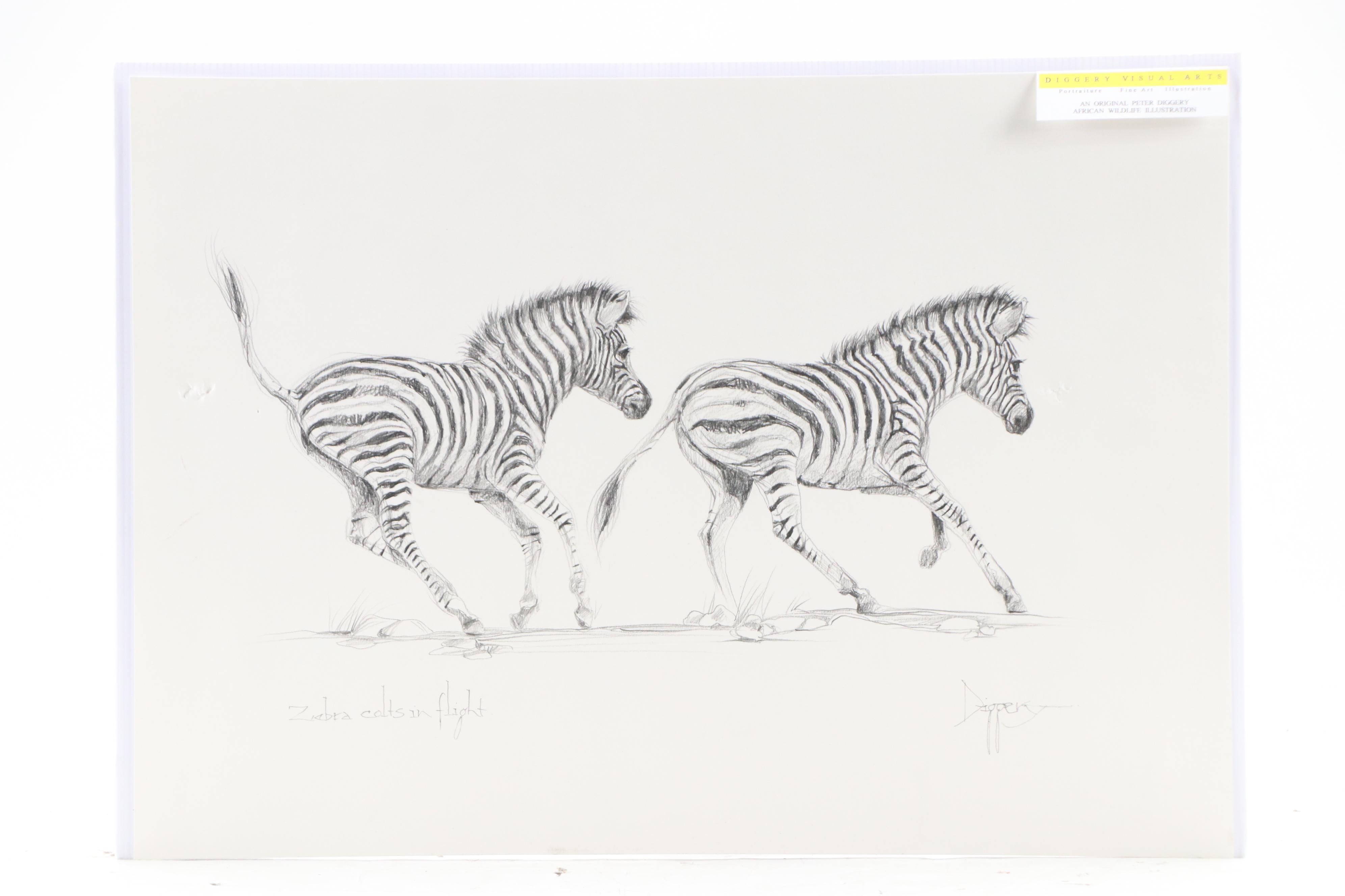 Pair of Peter Diggery Graphite Illustrations Including "Zebra Chit-Chat"
