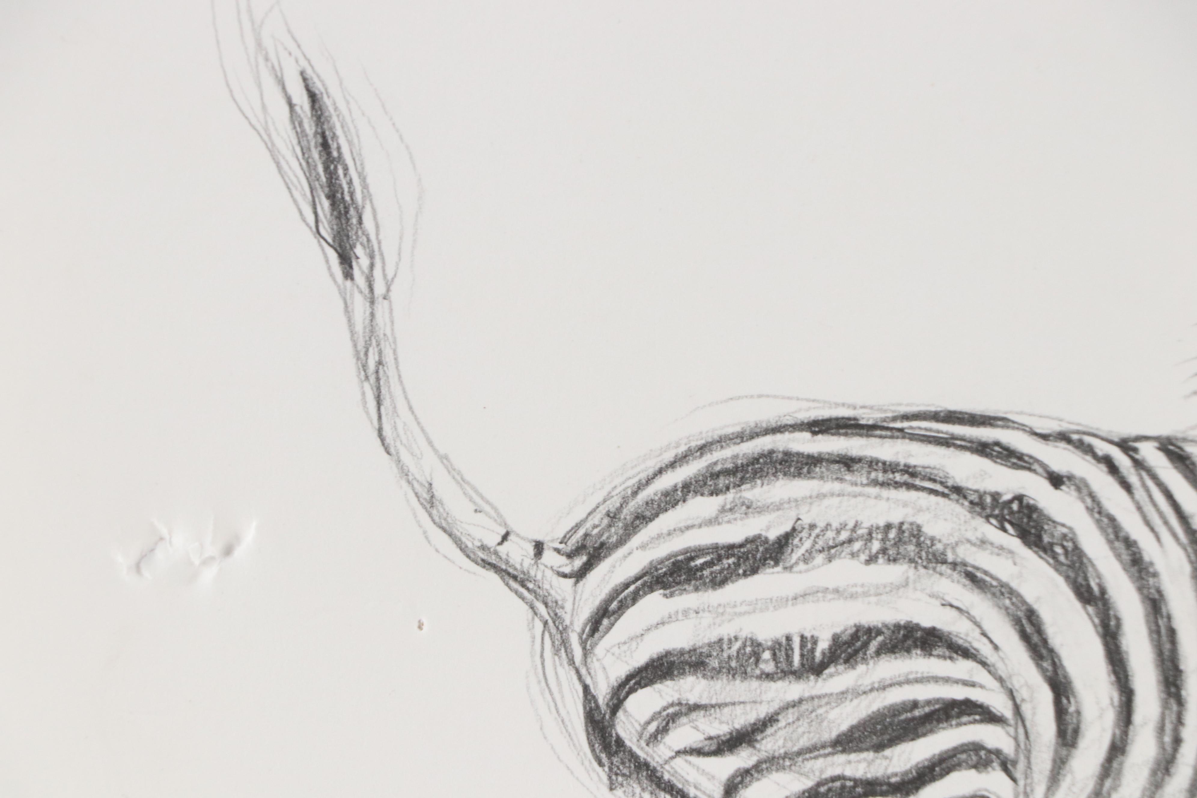 Pair of Peter Diggery Graphite Illustrations Including "Zebra Chit-Chat"