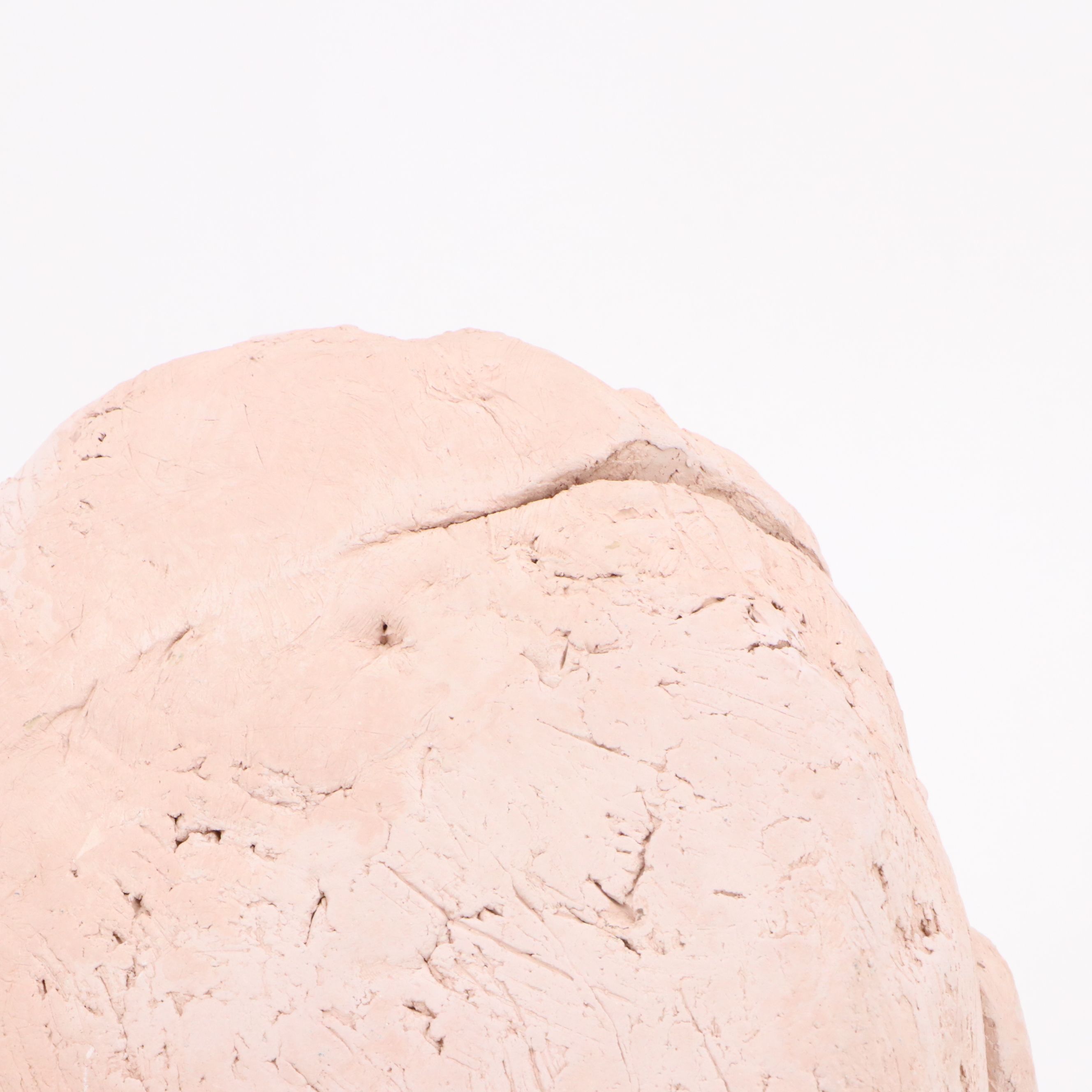 Plaster Bust of a Male