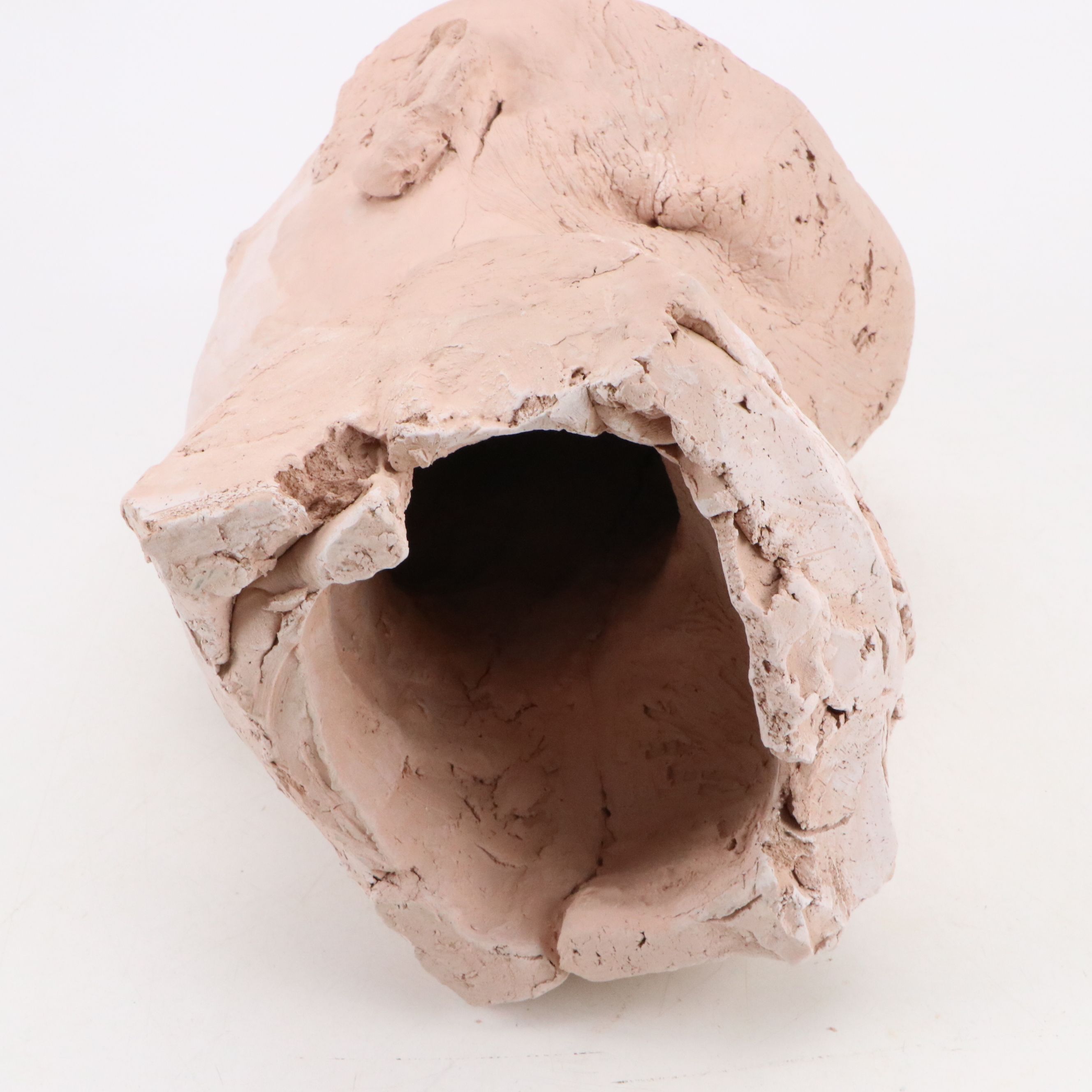 Plaster Bust of a Male