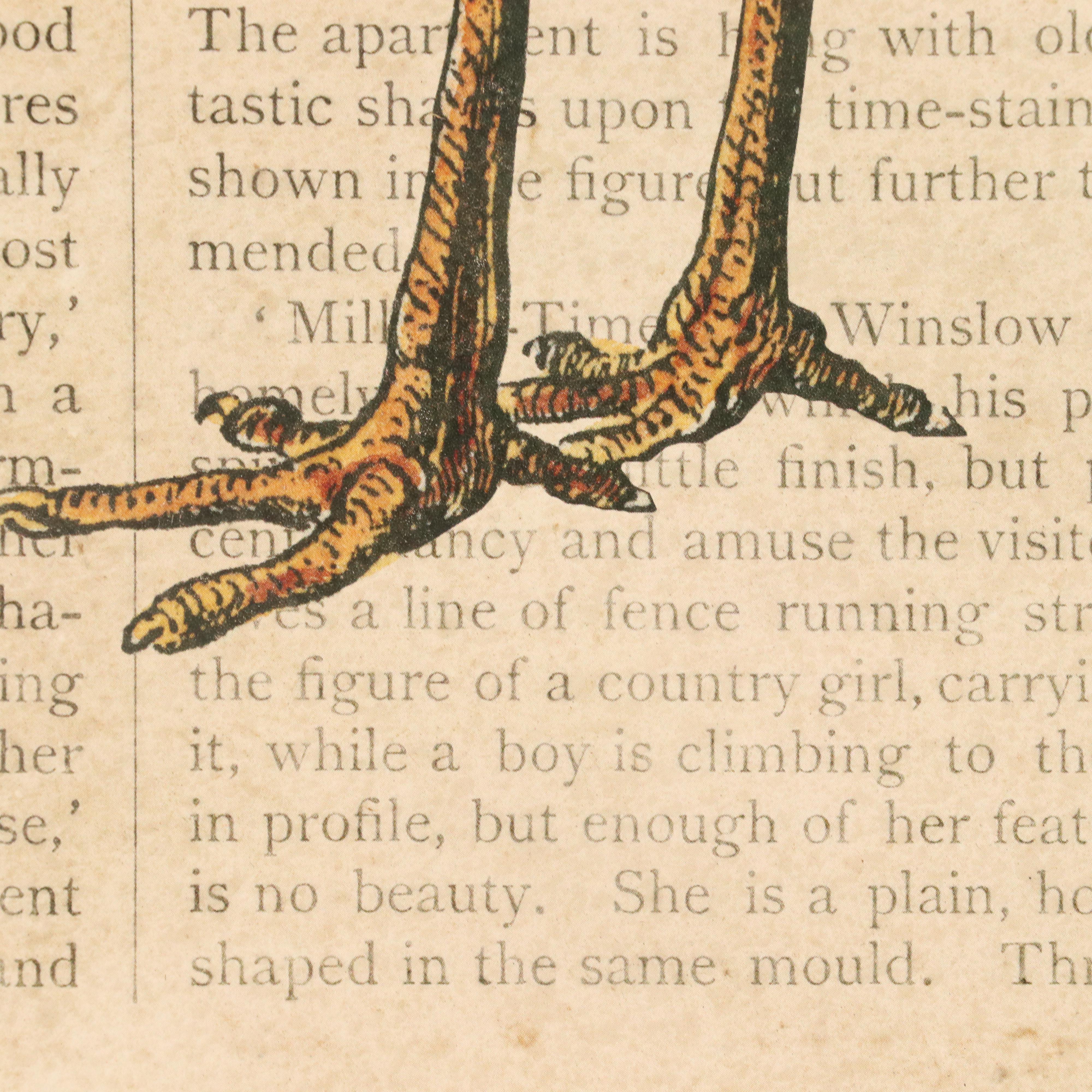 Offset Lithographic Composition of Stork Over Art Journal