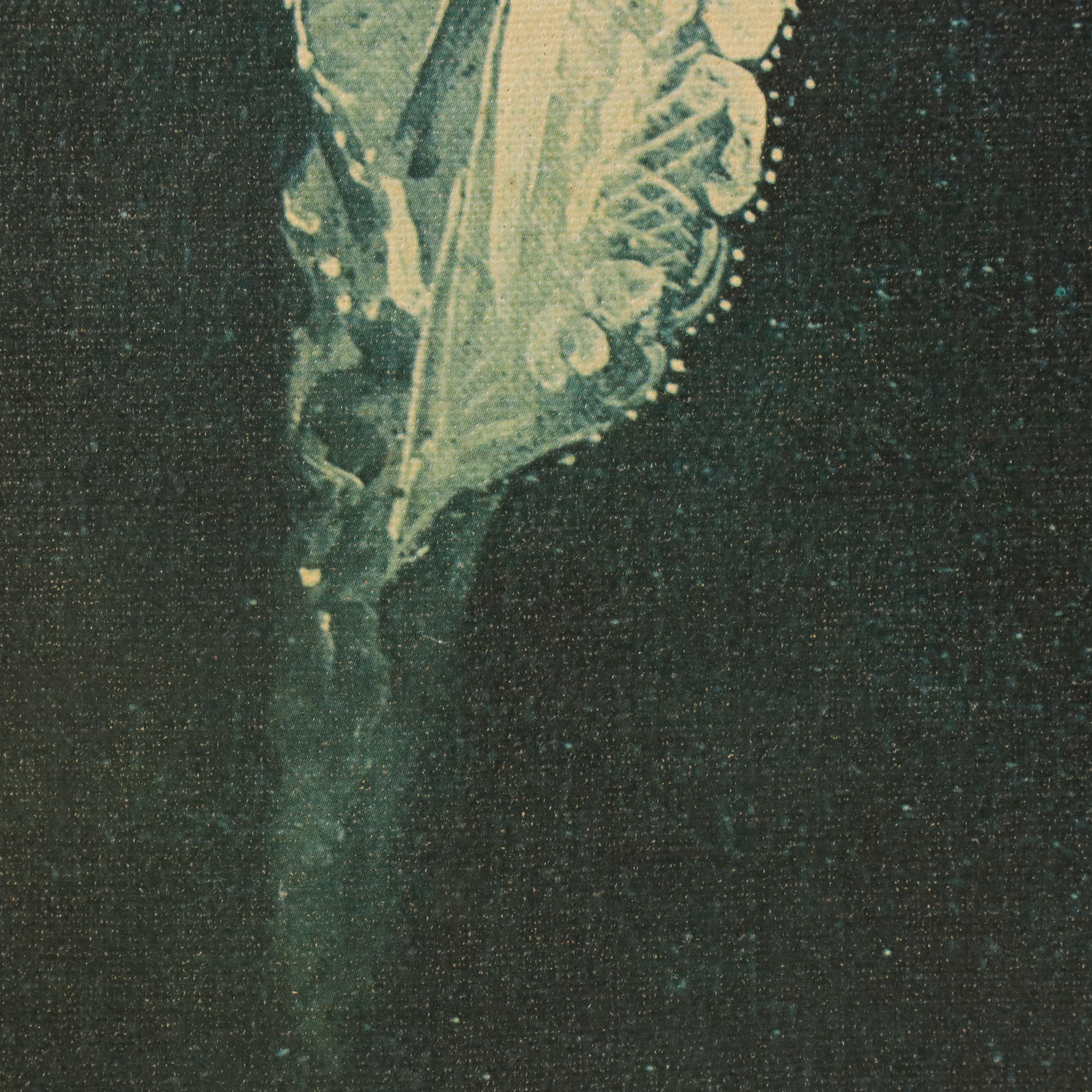 Offset Lithograph of Landsdowne Portrait of George Washington